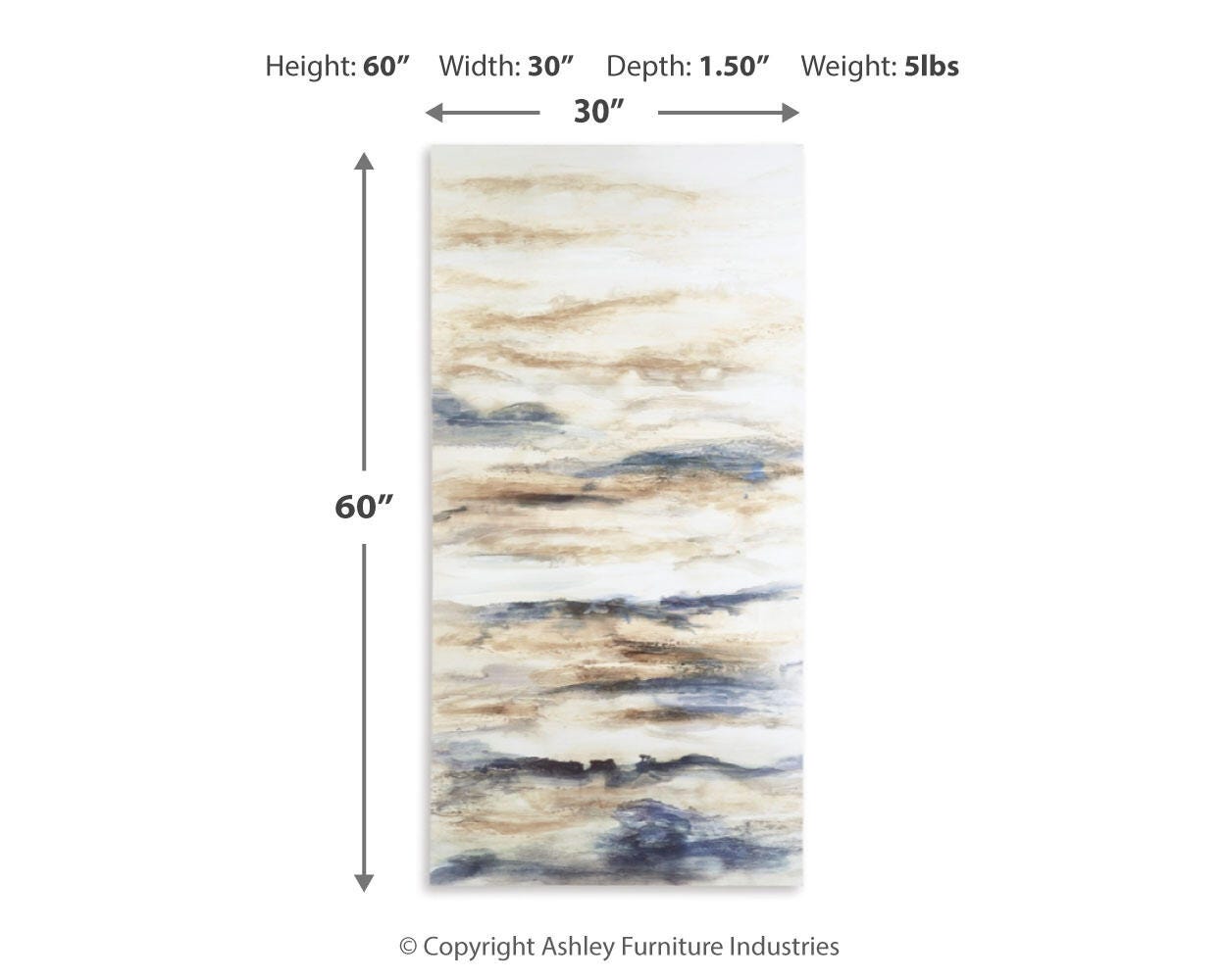 Joely Dimensions