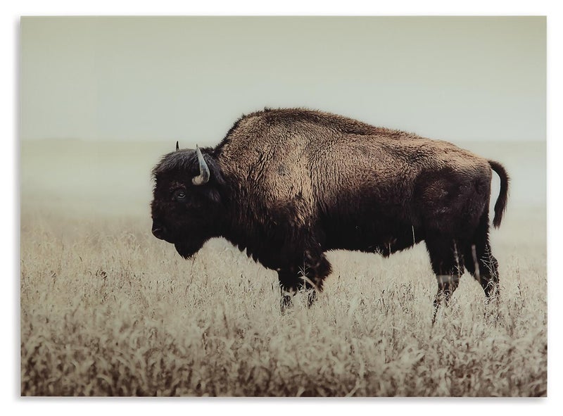 Brutus Bison Wall Art