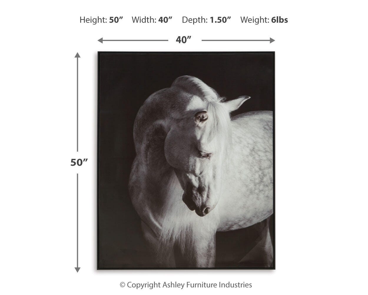 Archerwick Dimensions