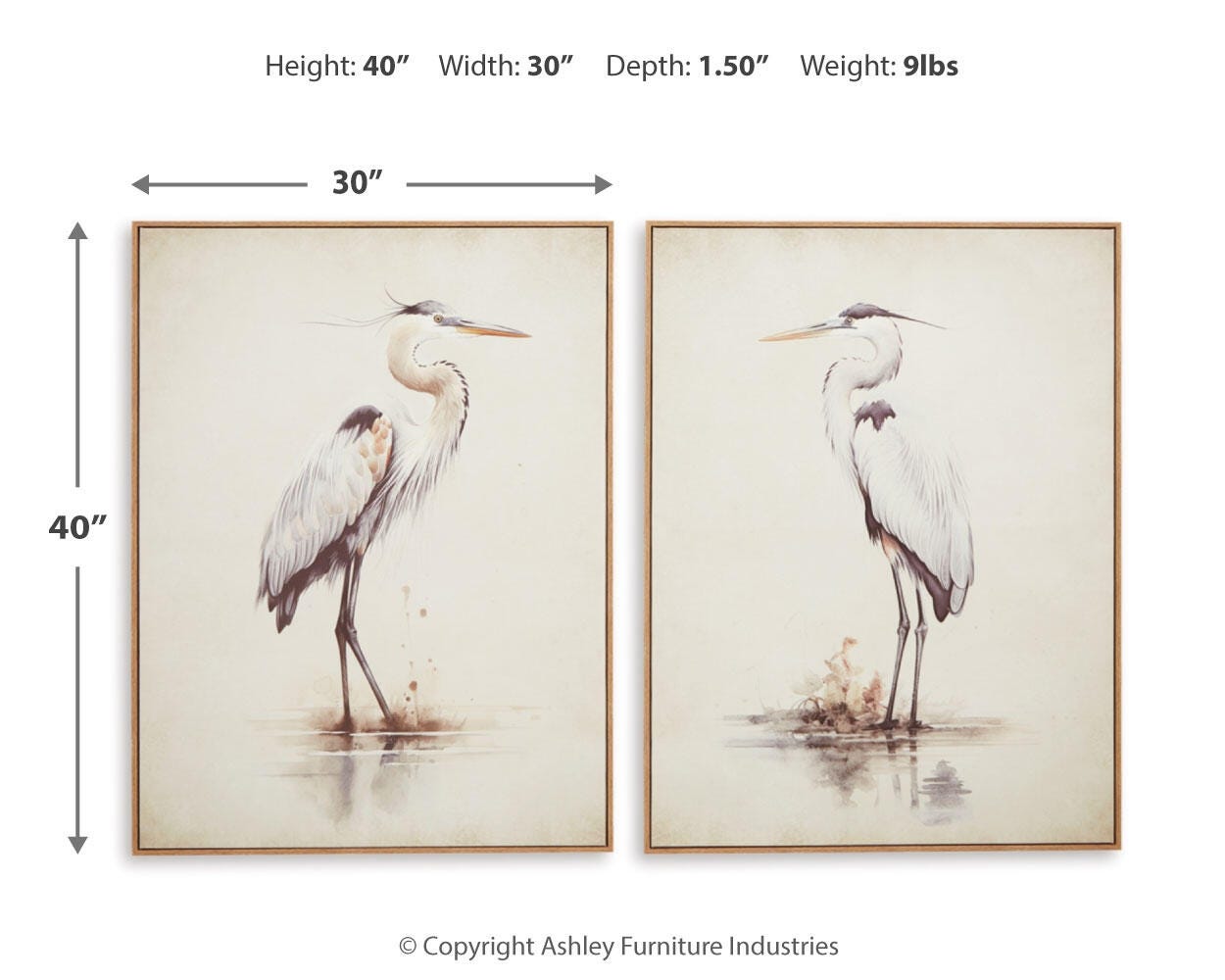 Aubinell Dimensions