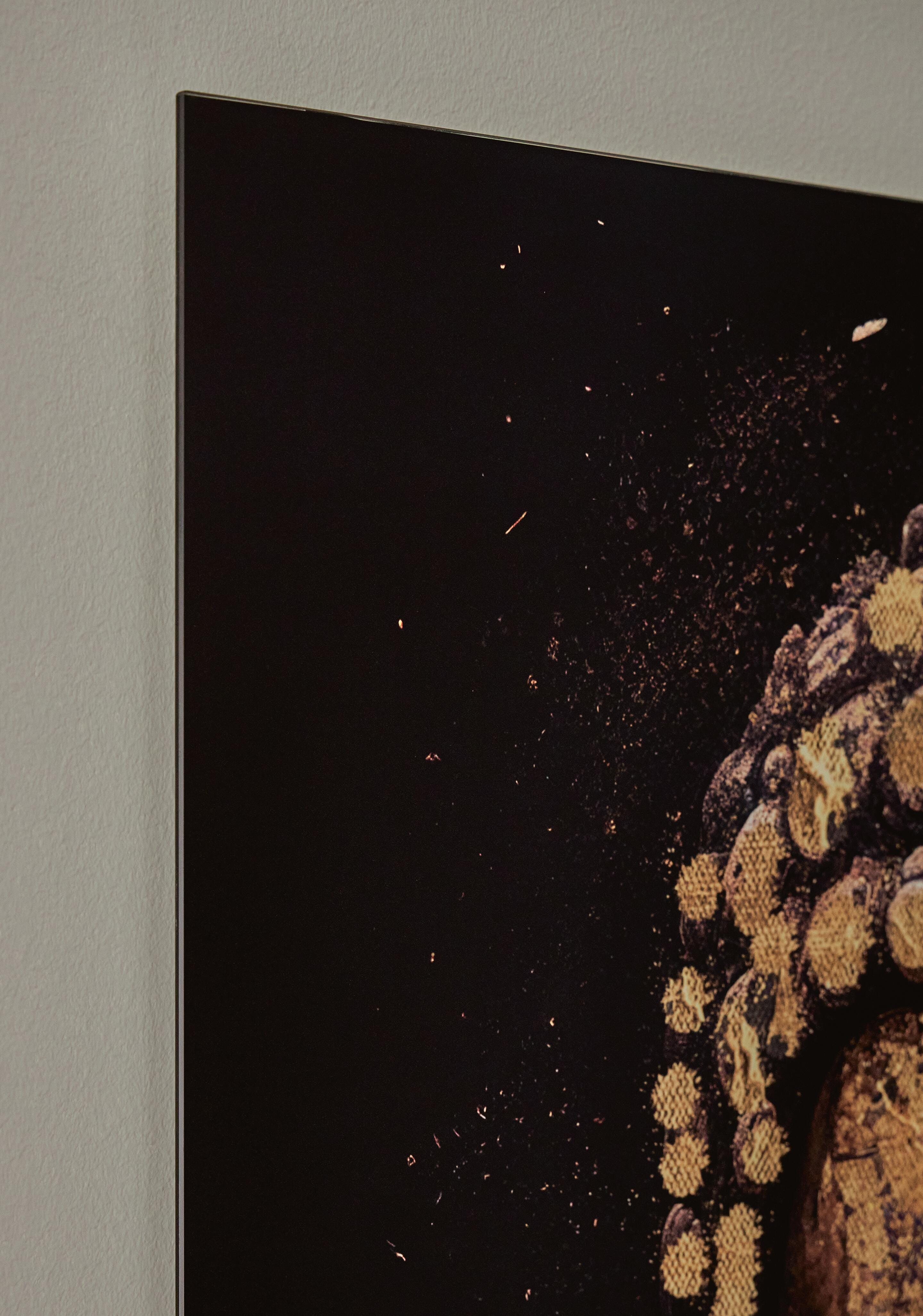 Caymoore Wall Art - image 5