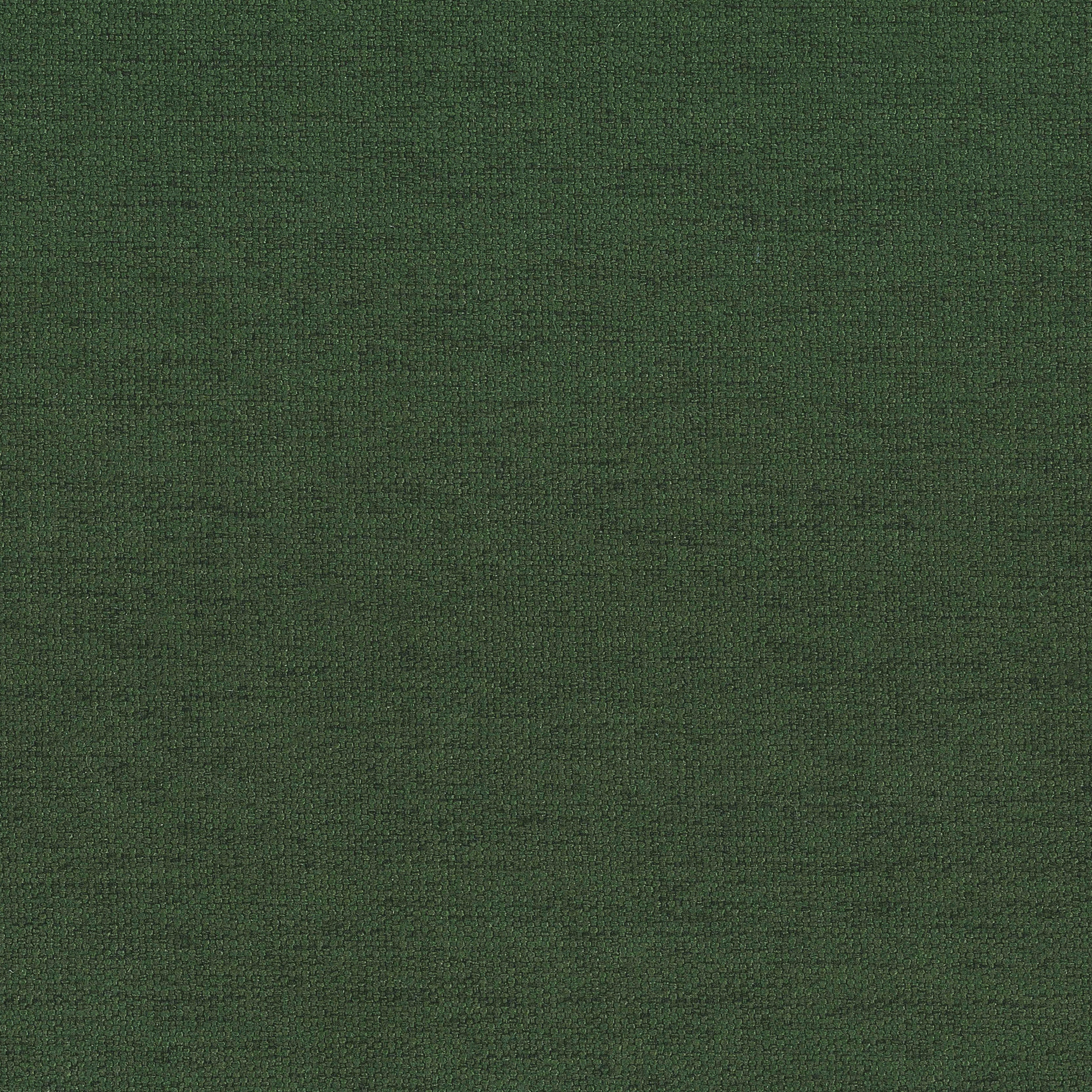 Swatch color Pine Green 