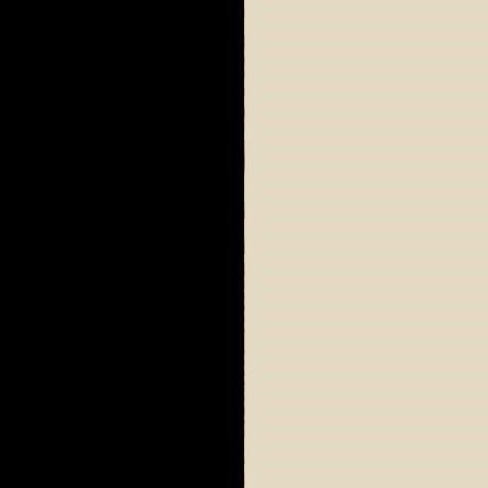 Swatch color Black/Beige 