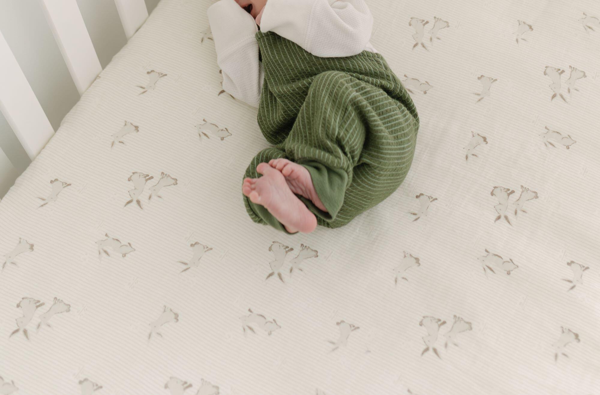 Crane Baby Avery Crib Sheet, , large