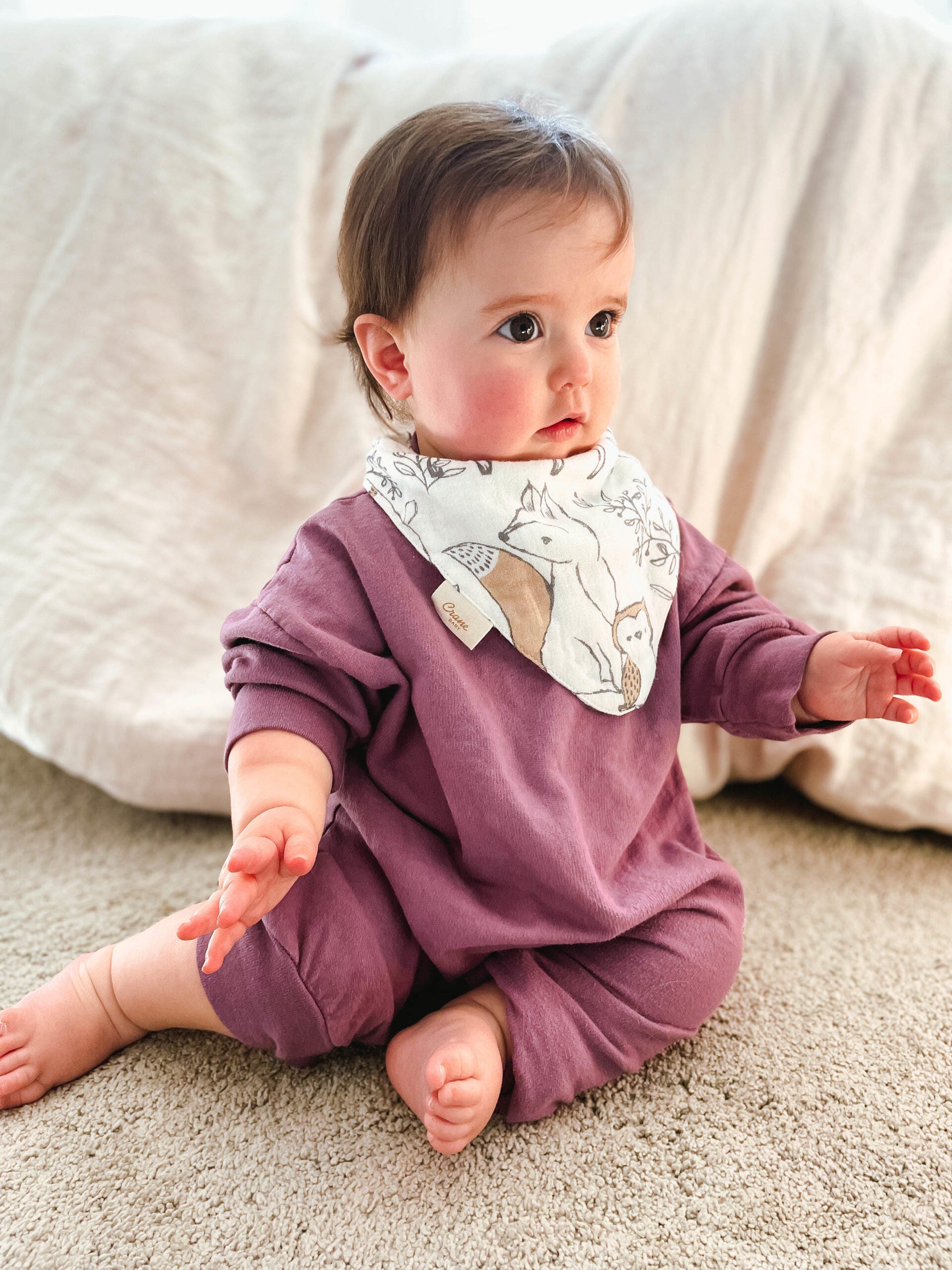 Crane Baby Ezra Baby Bib (Set of 3), , large