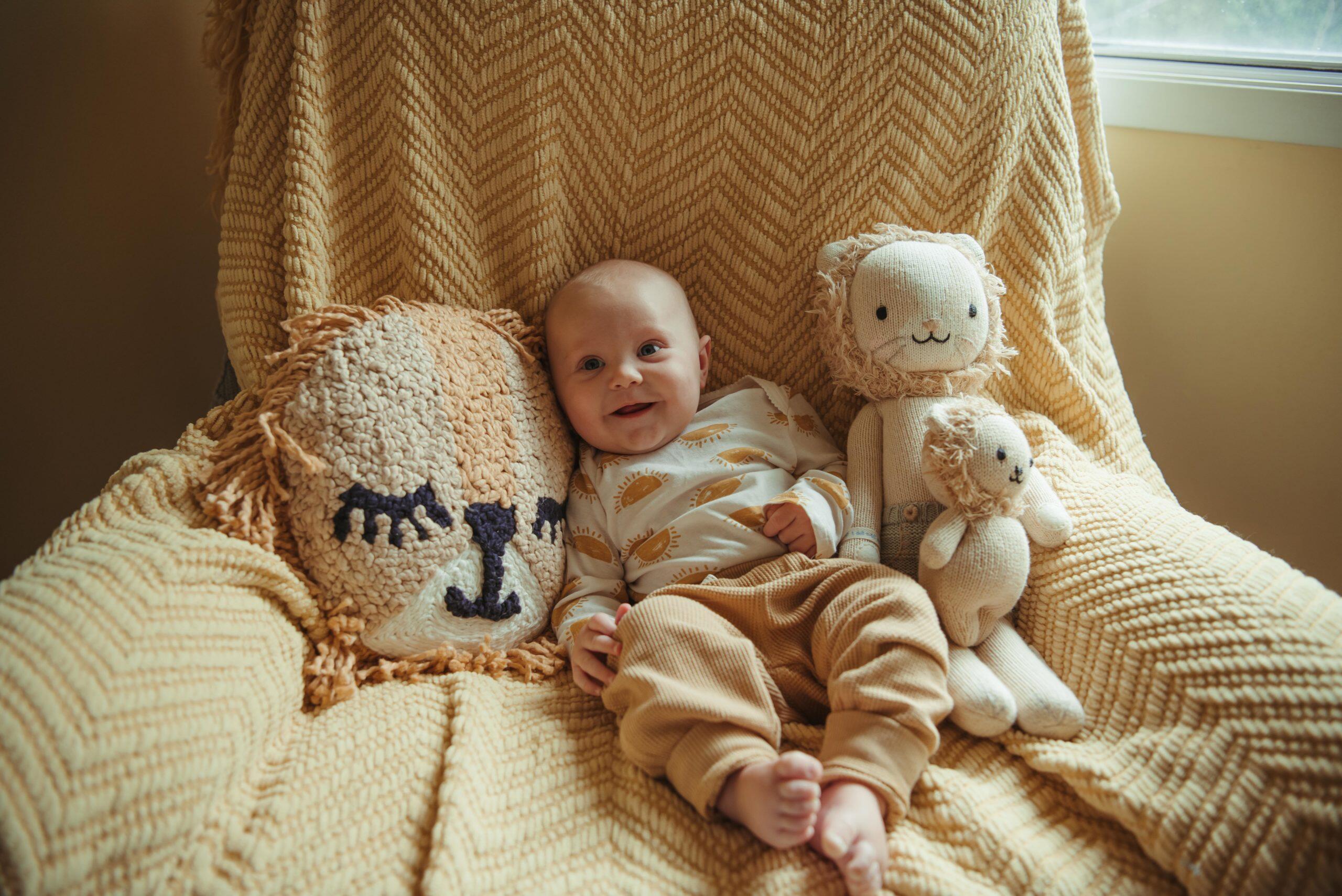 Crane Baby Lion Nursery Decorative Throw Pillow, , large