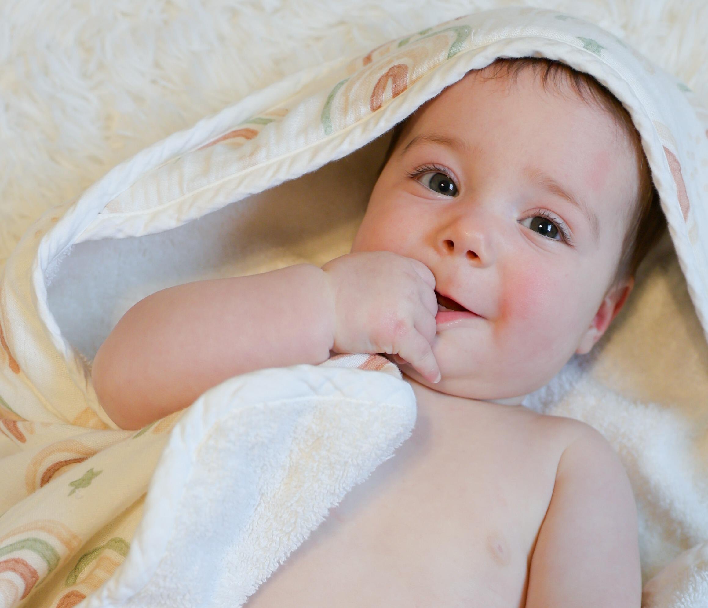Crane Baby Parker Baby Hooded Towel, , rollover