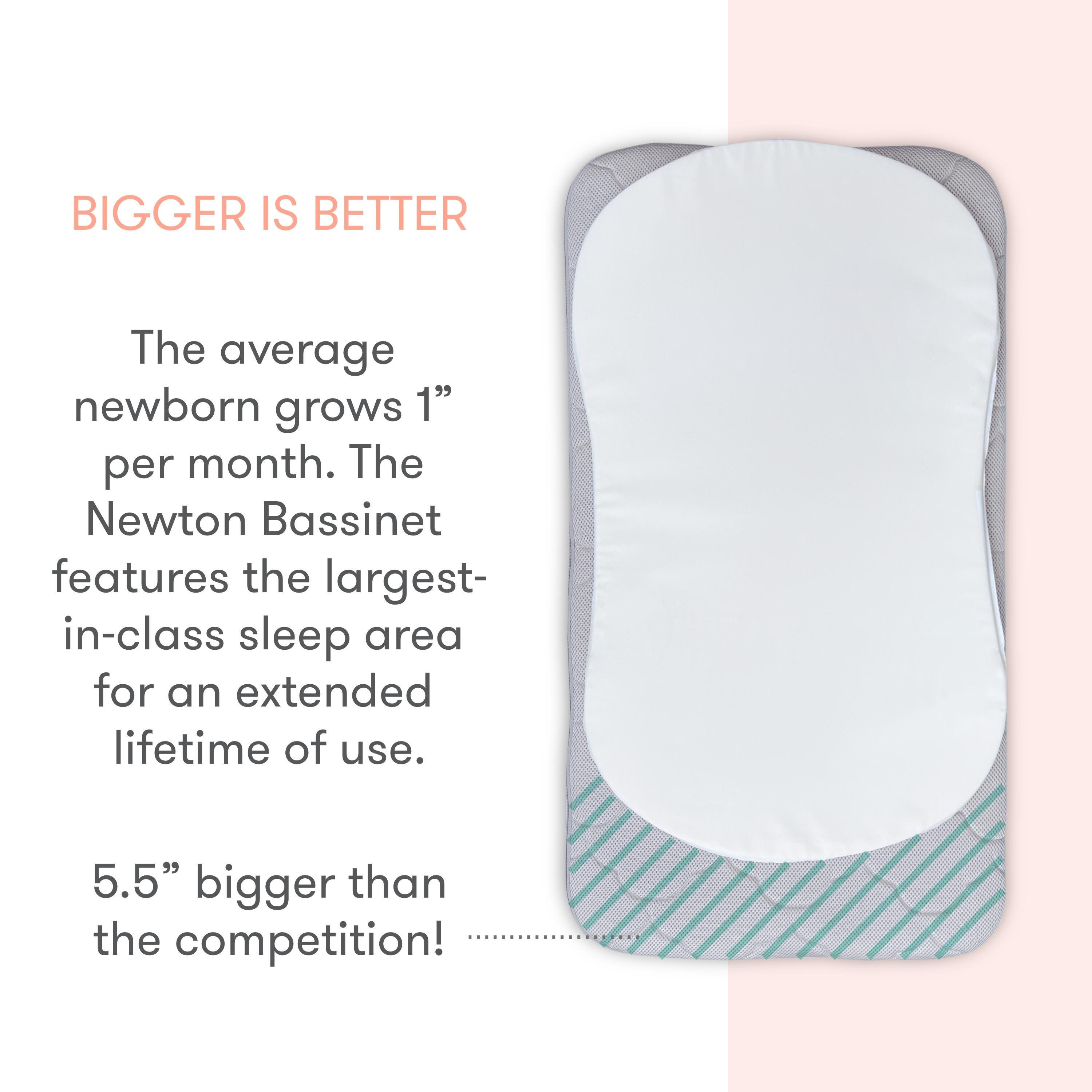 Newton Baby Essential Bassinet, Gray, large