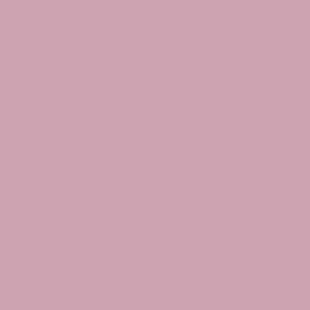 Swatch color Precious Pink/Beige 