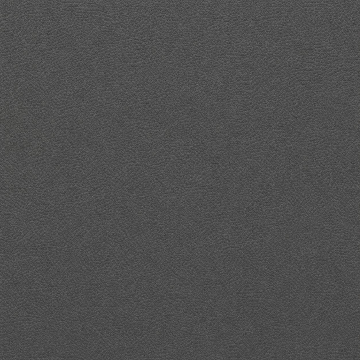Tempered Gray