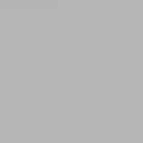 Cool Gray