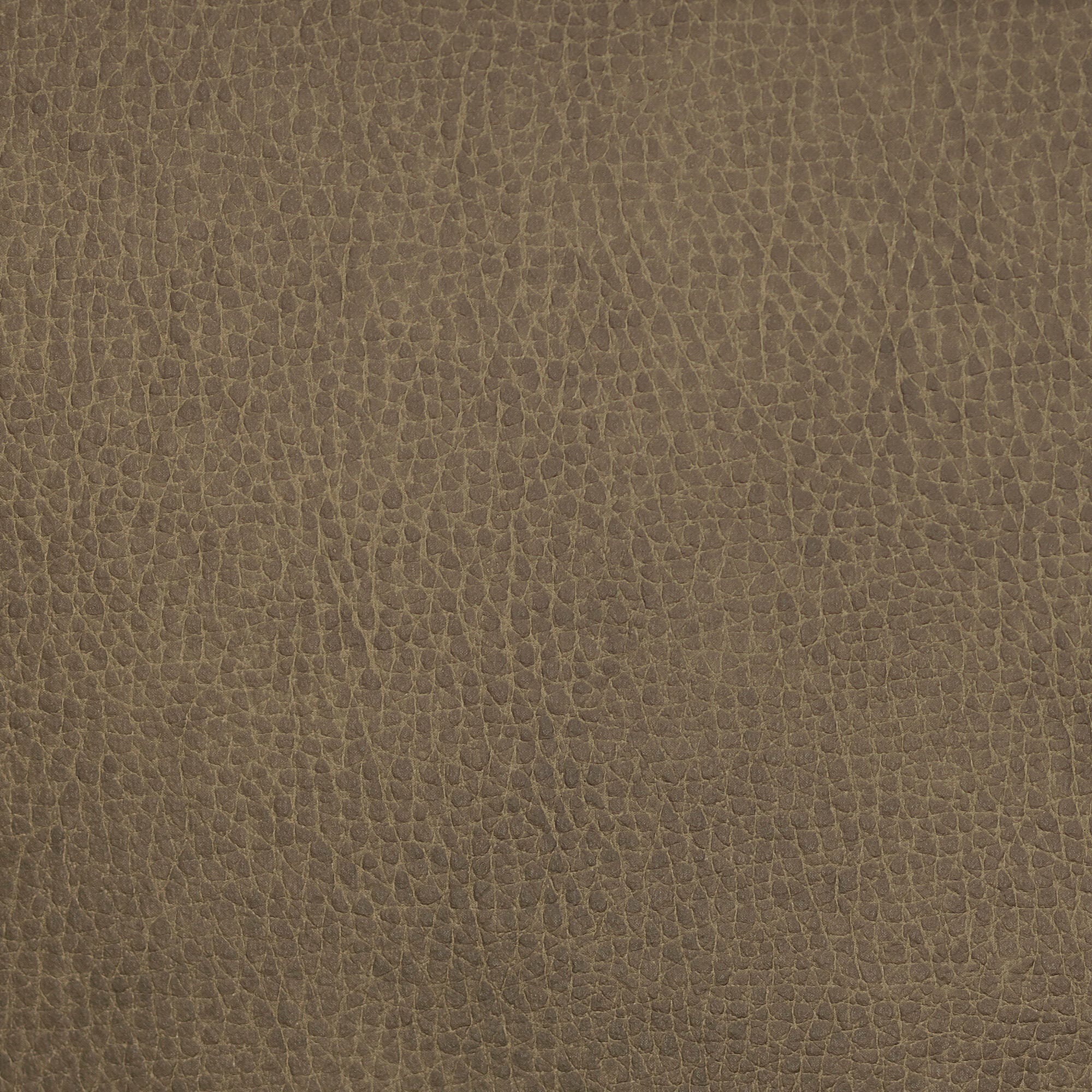 Swatch color Mushroom Taupe 