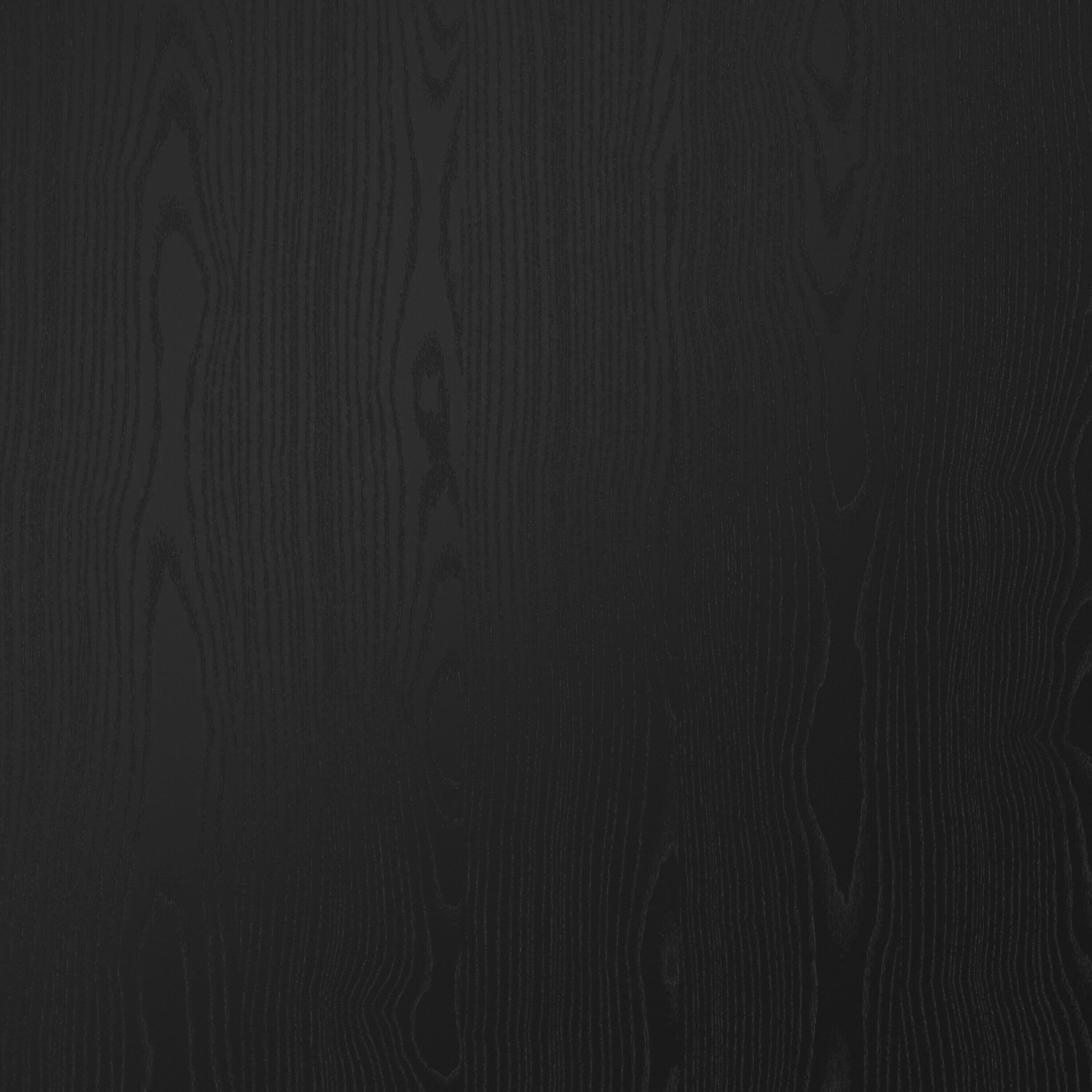 Swatch color Black 