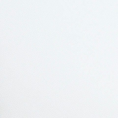 Swatch color White/Silver 