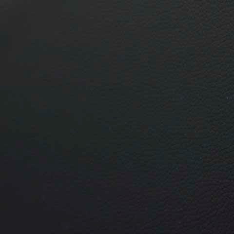 Swatch color Black 