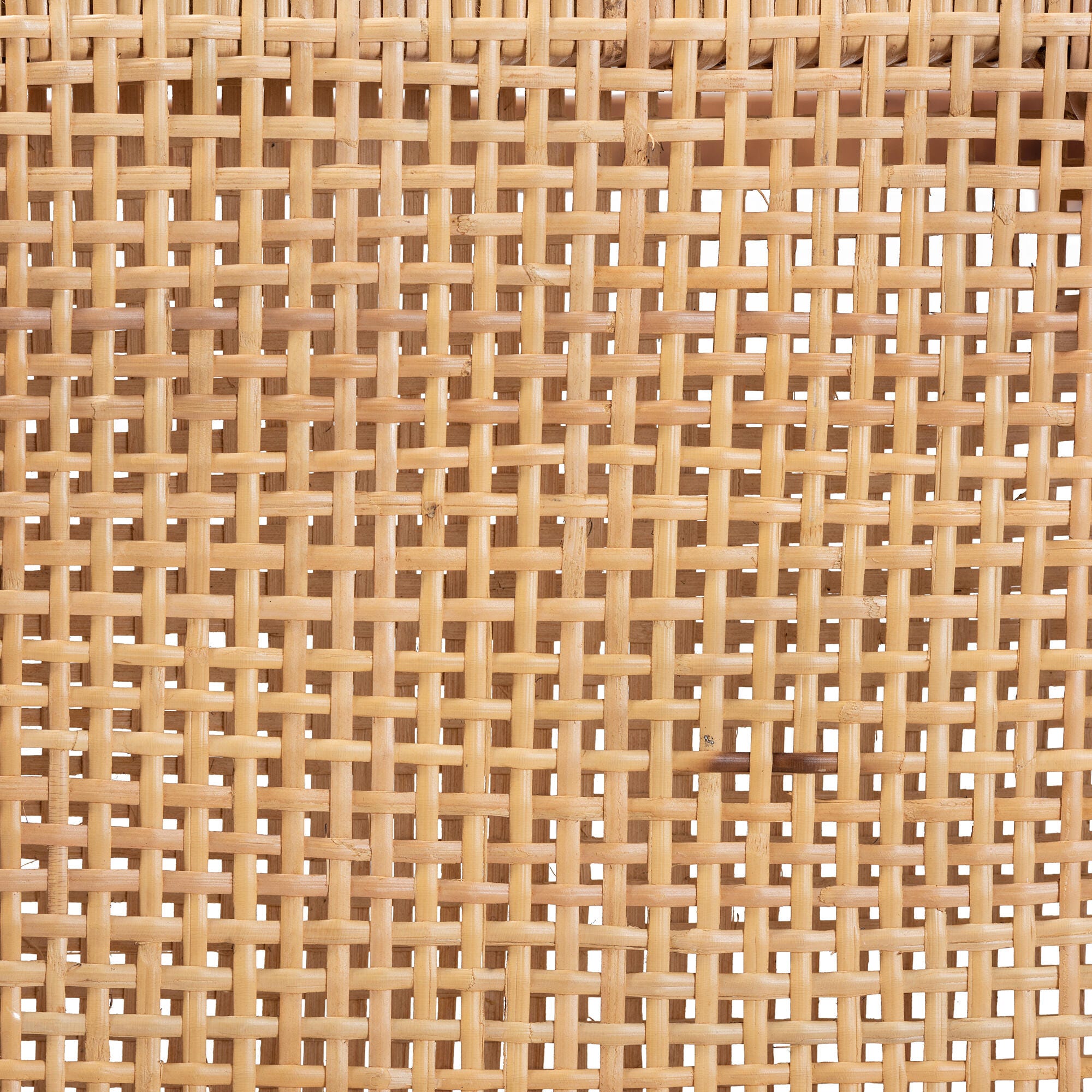 Bali & Pari Caspia Counter Stool, , swatch