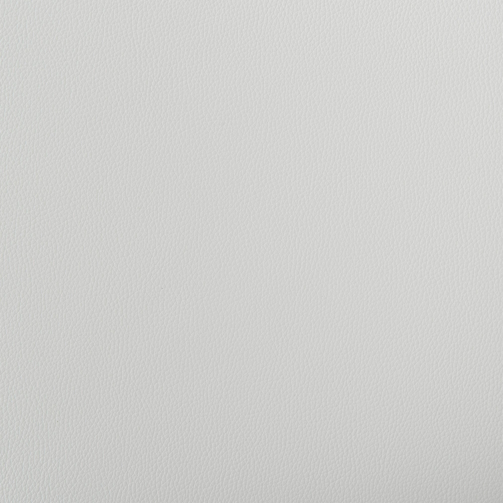 Swatch color White/Chrome 