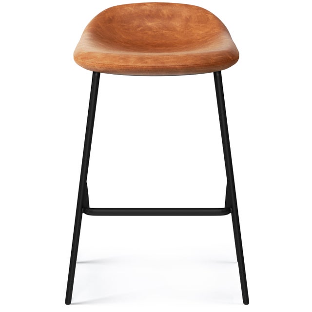 Simpli Home Dafney Counter Height Bar Stool (Set of 2)