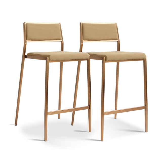 TOV Furniture Gale Counter Height Bar Stool (Set of 2)