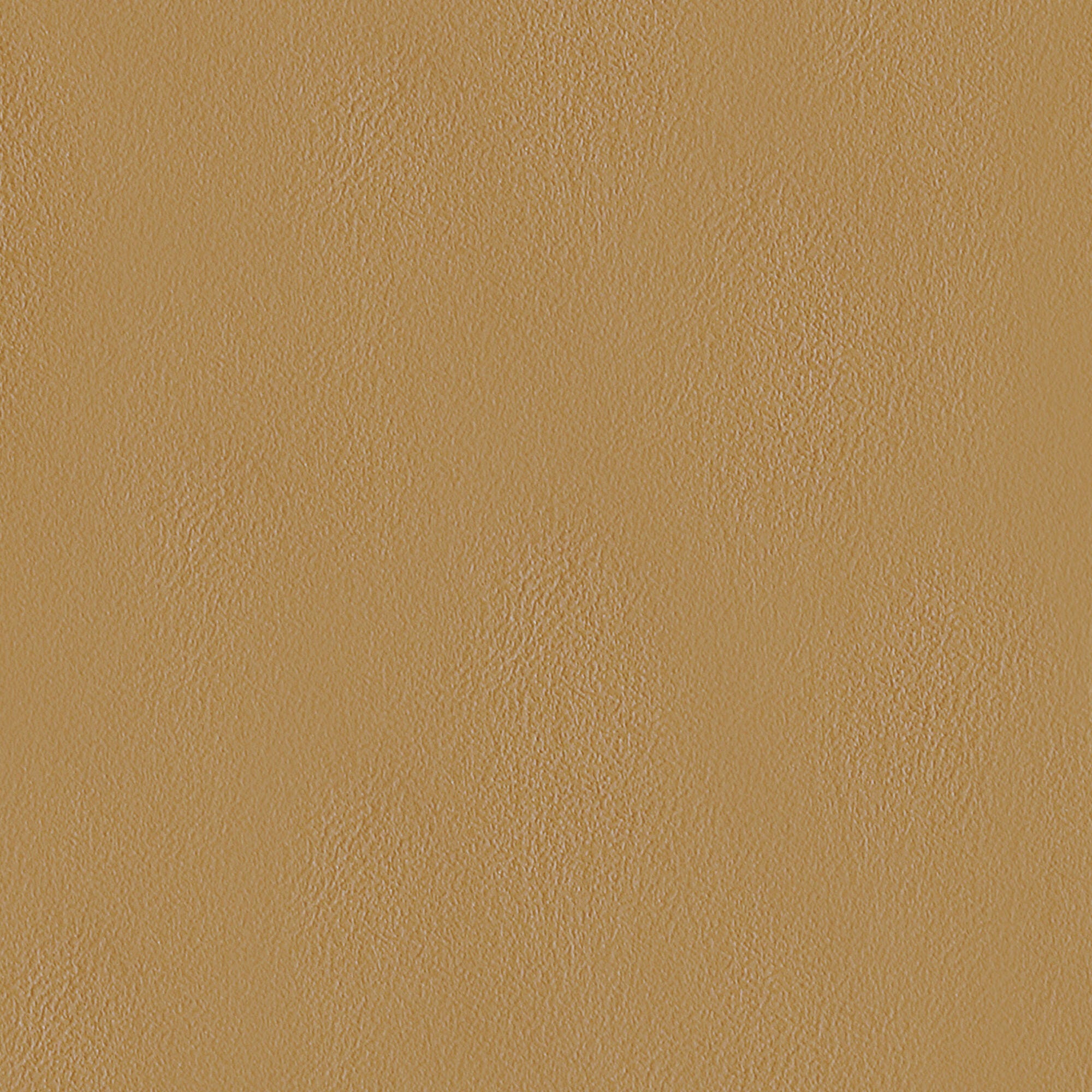 Swatch color Camel 
