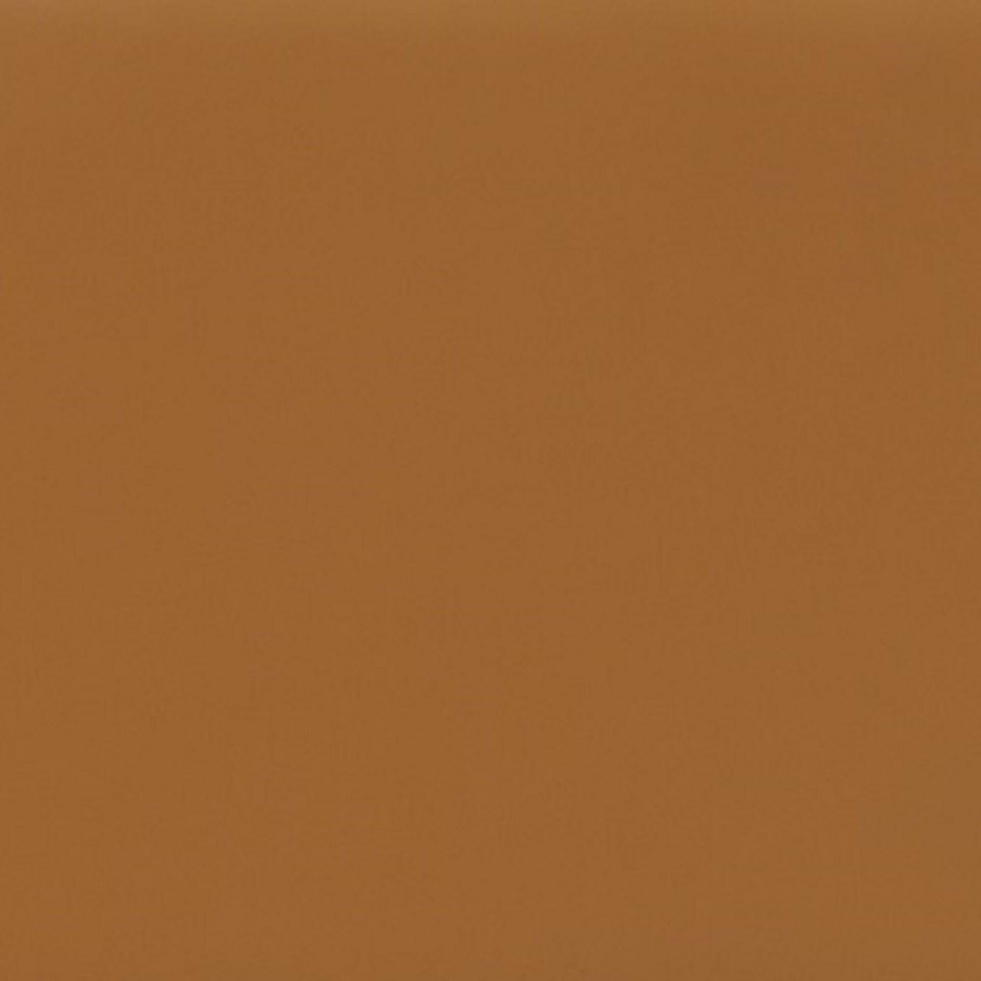 Swatch color Camel 