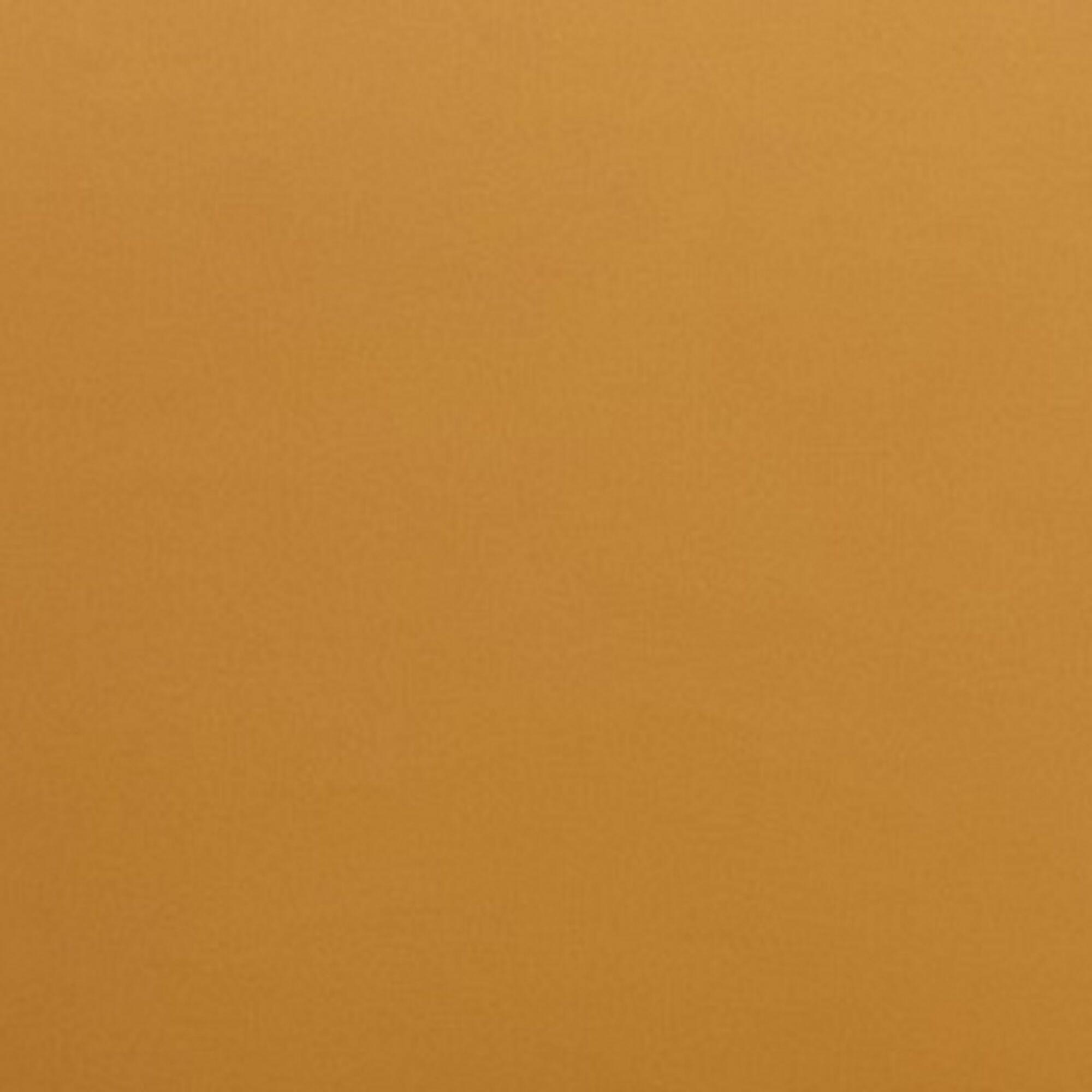 Swatch color Camel 