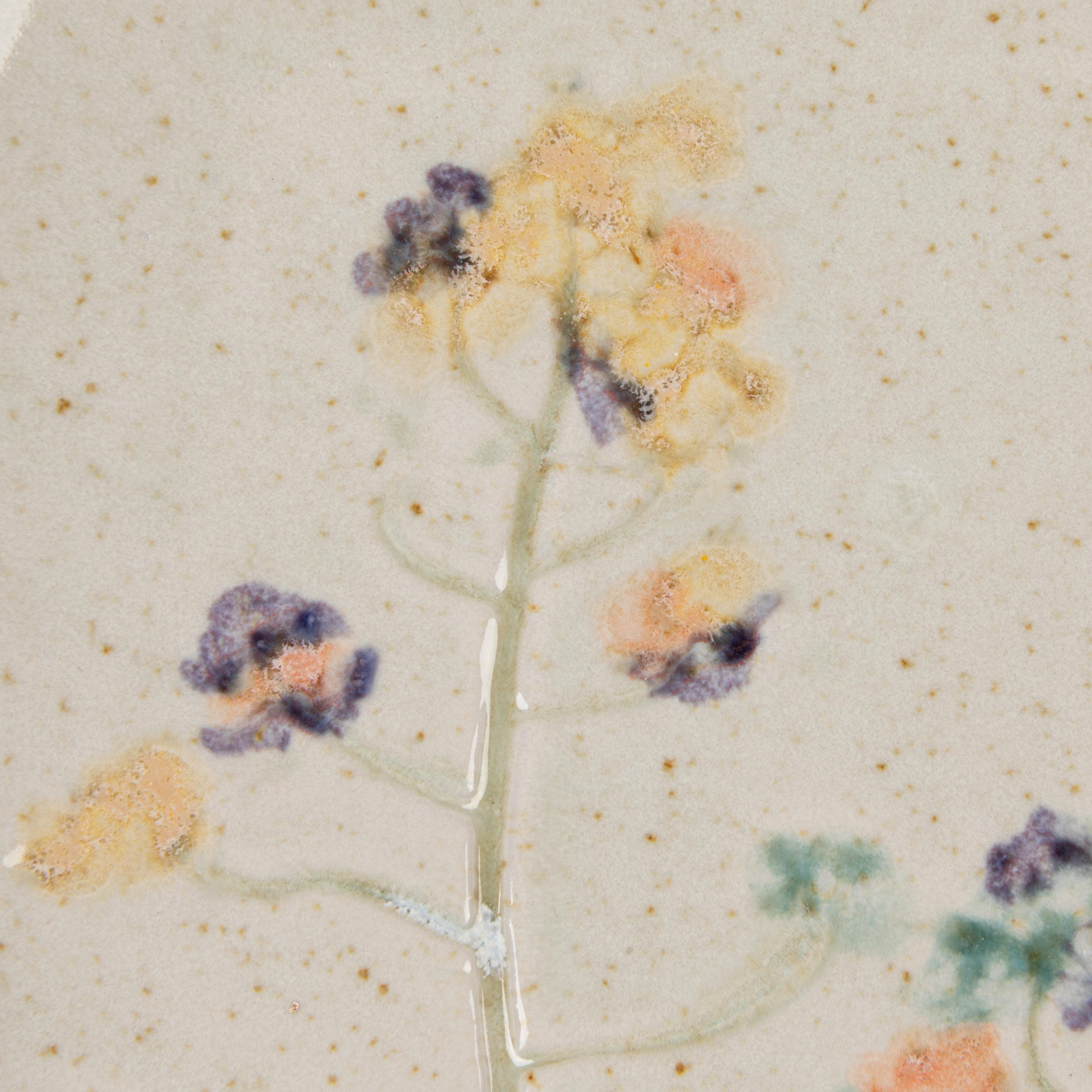 Storied Home Square Plates (Set of 6), , large