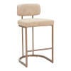 Erika Home Velar Counter Height Bar Stool (Set of 2), Beige, large