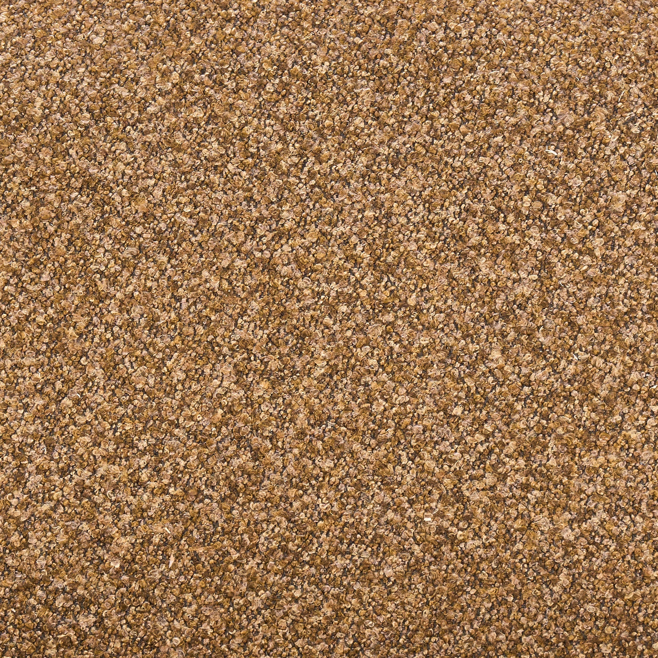 Swatch color Brown 