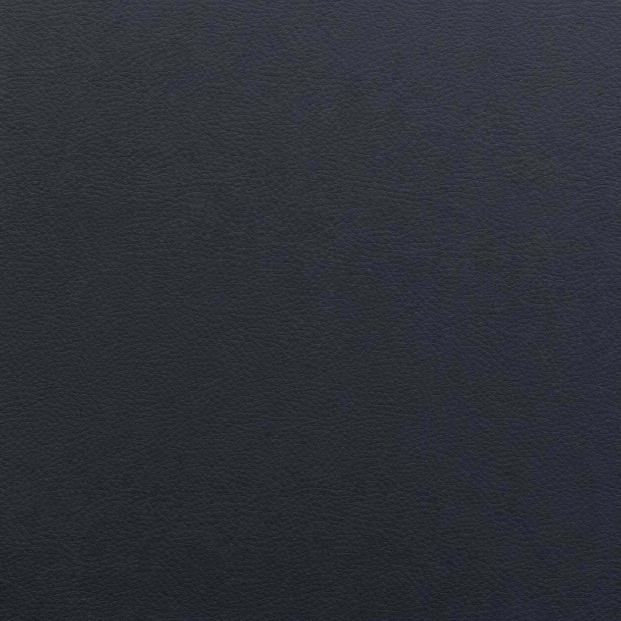 Swatch color Navy Blue/Black 