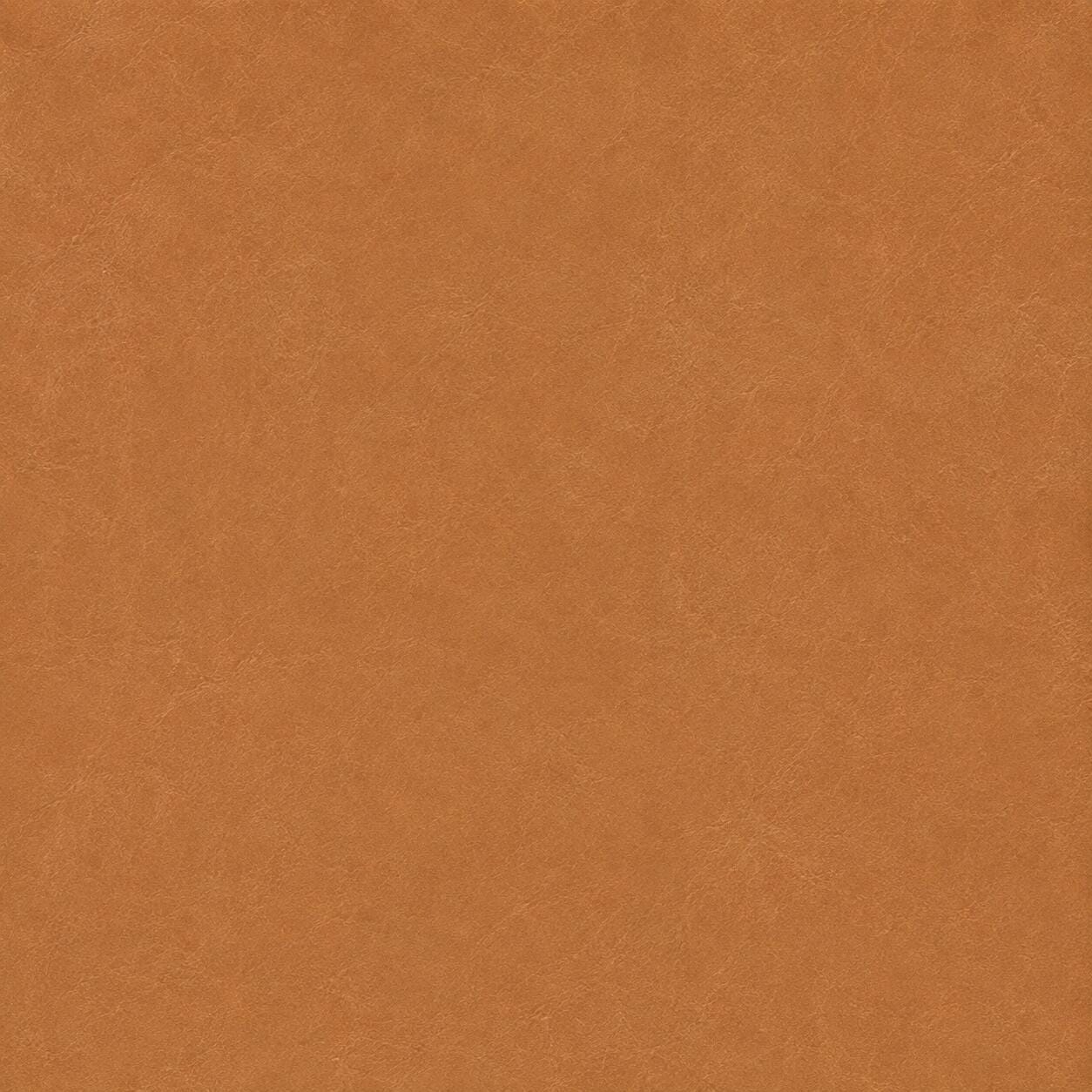 Swatch color Cognac Brown 