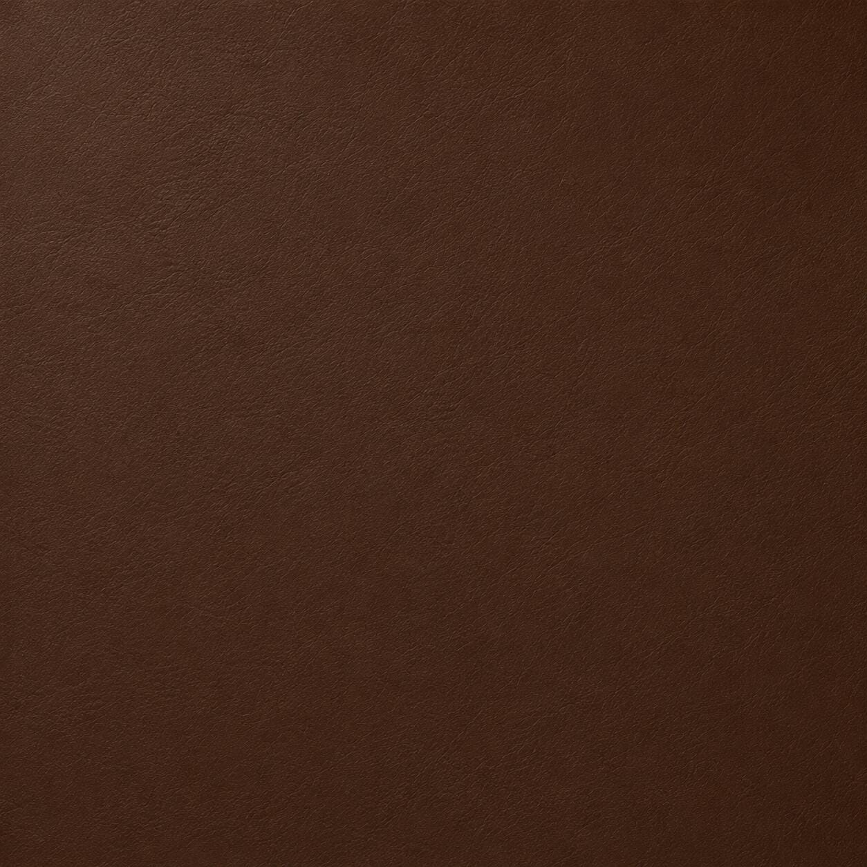Swatch color Brown 