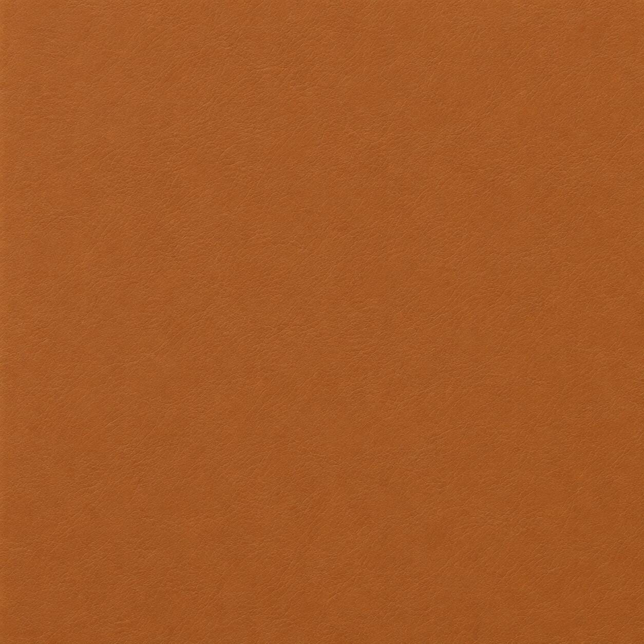 Select Color: Caramel Brown