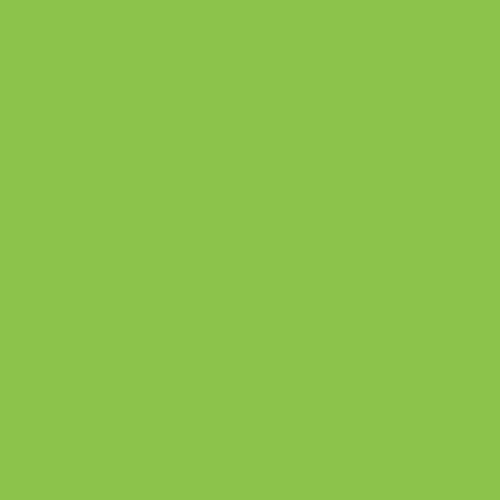 Swatch color Green/Natural 