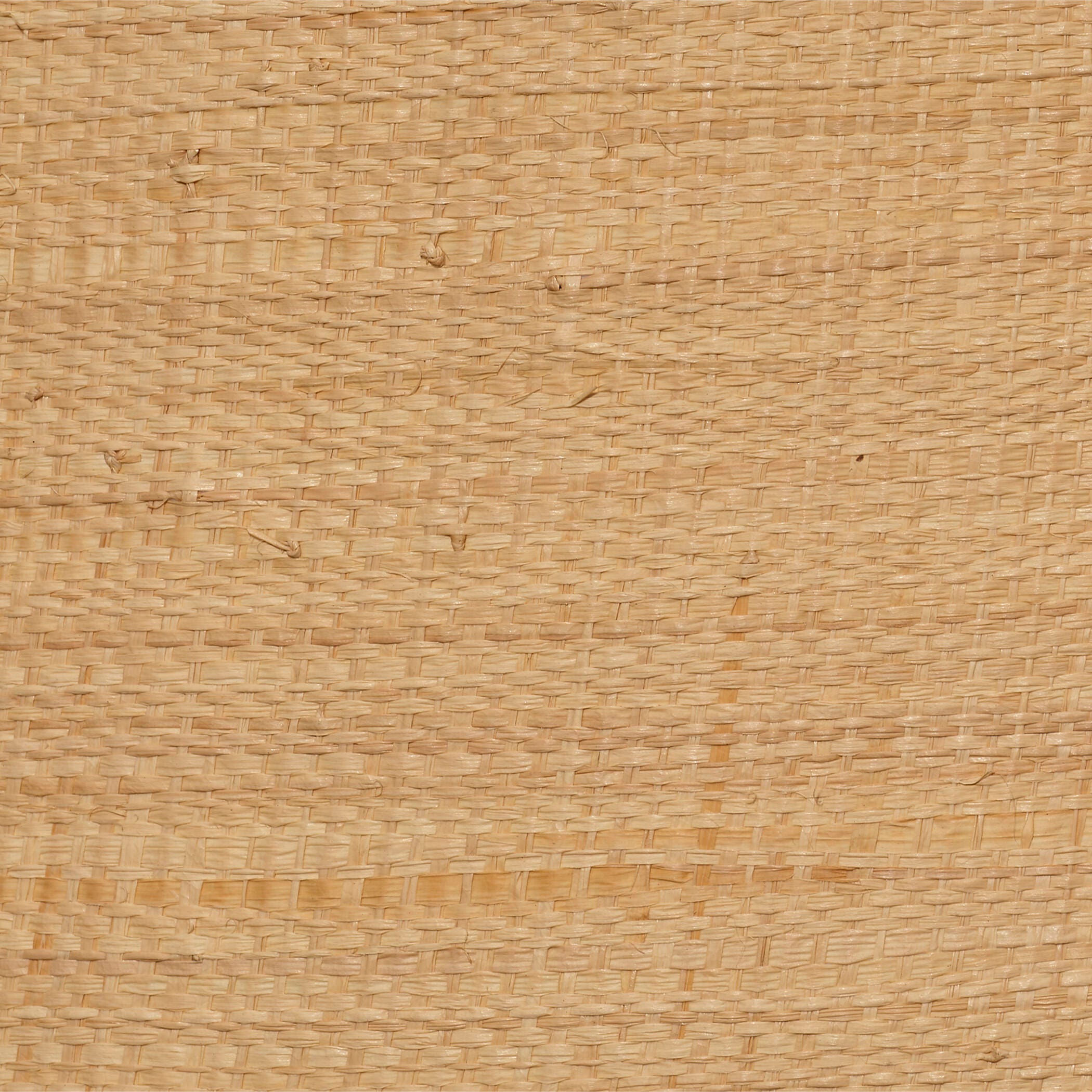 Relaxed Elegance Arcadia Raffia Table Lamp, , swatch