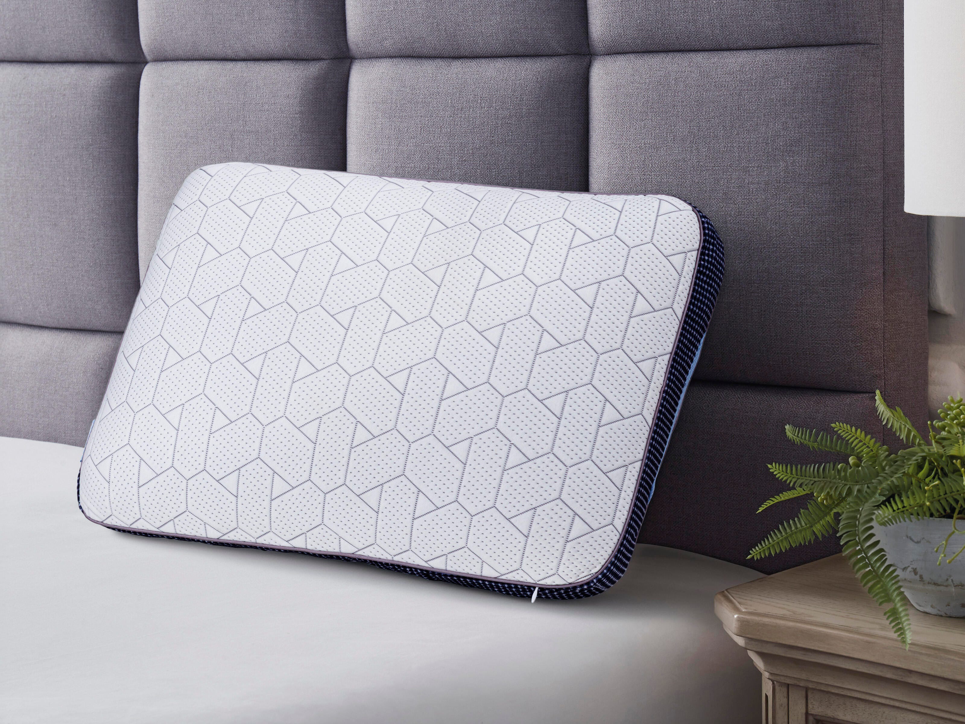 Yosemite 11.5 cm Standard Pillow (4/CS) - image 1