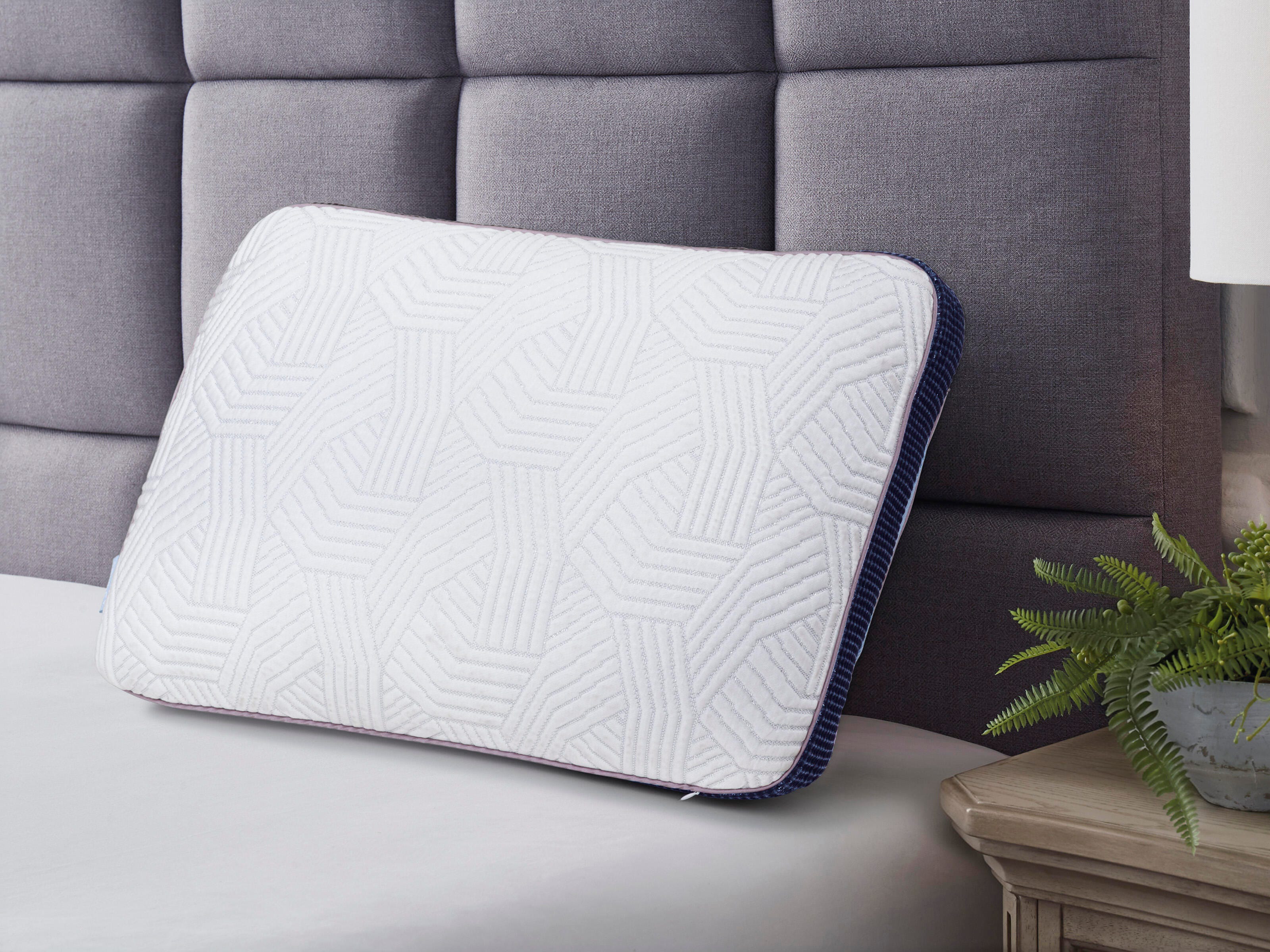 Zenith 12.75 cm Standard Pillow (4/CS) - image 1