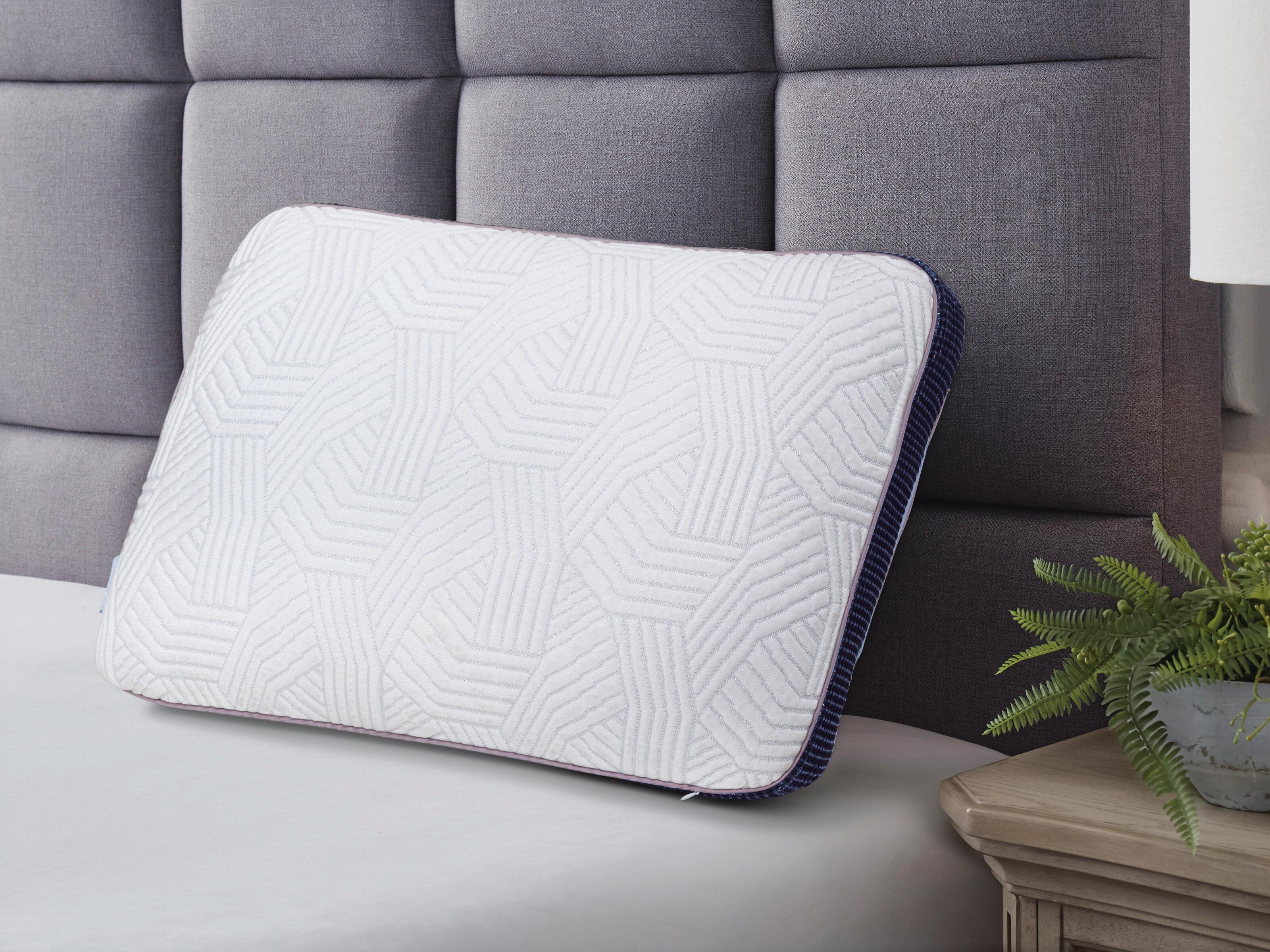 Zenith 11.5 cm Standard Pillow (4/CS) - image 1