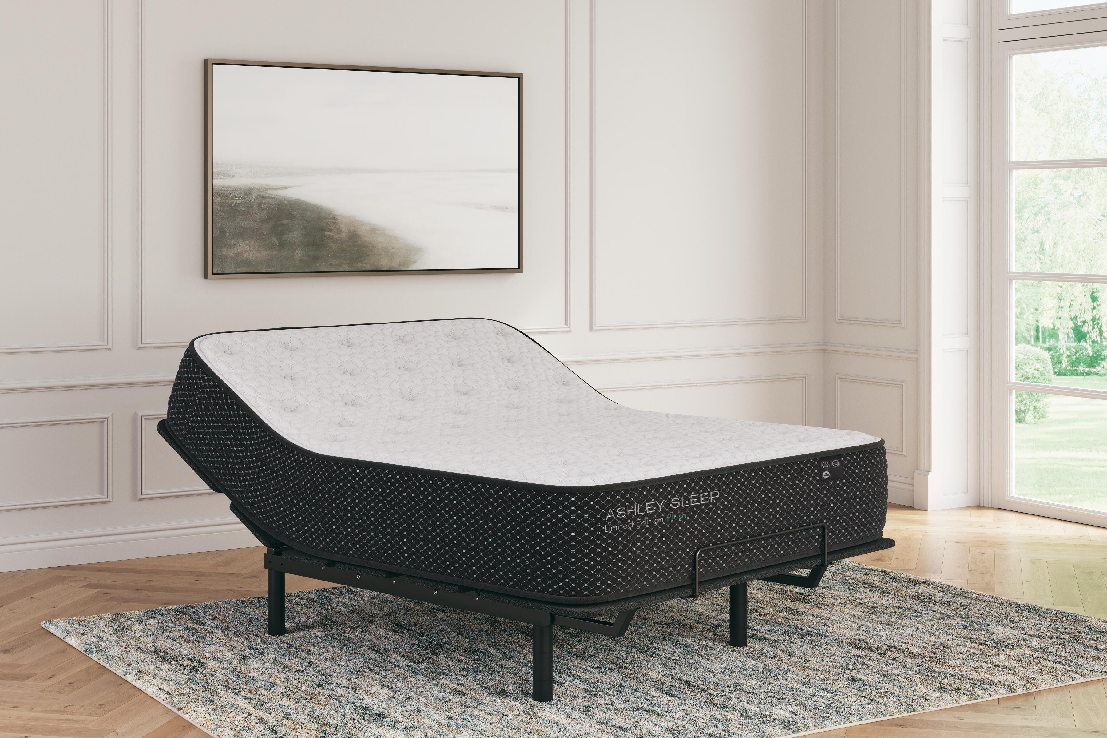 Limited Edition Plush Twin Mattress - image 9