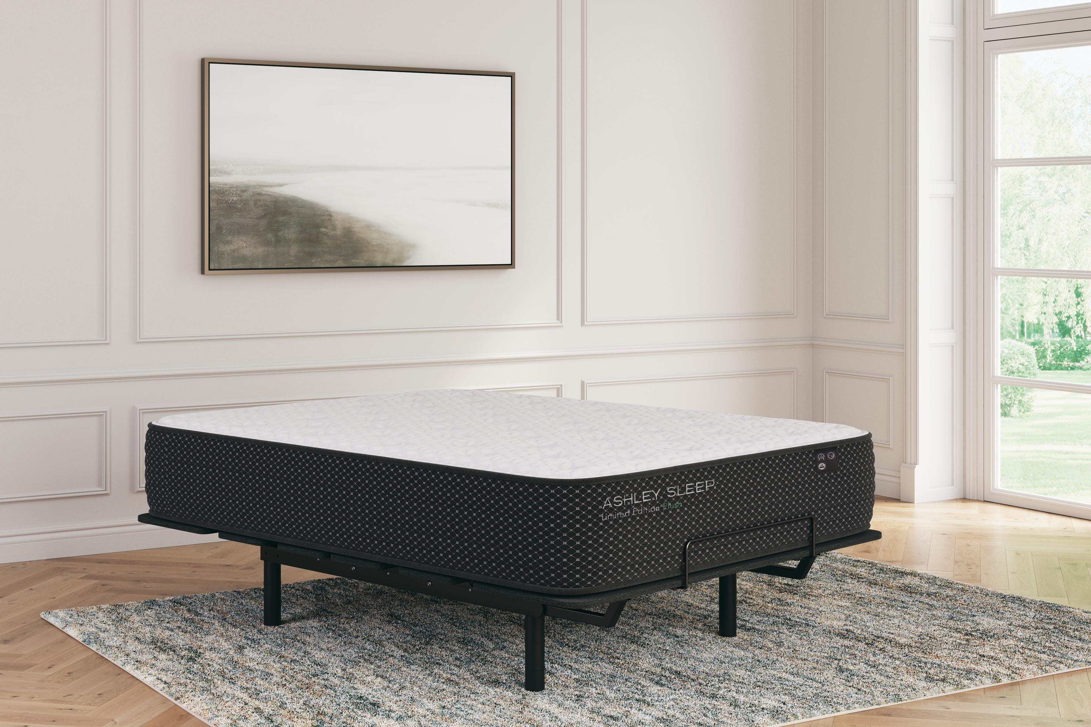 Limited Edition Plush Twin Mattress - image 8