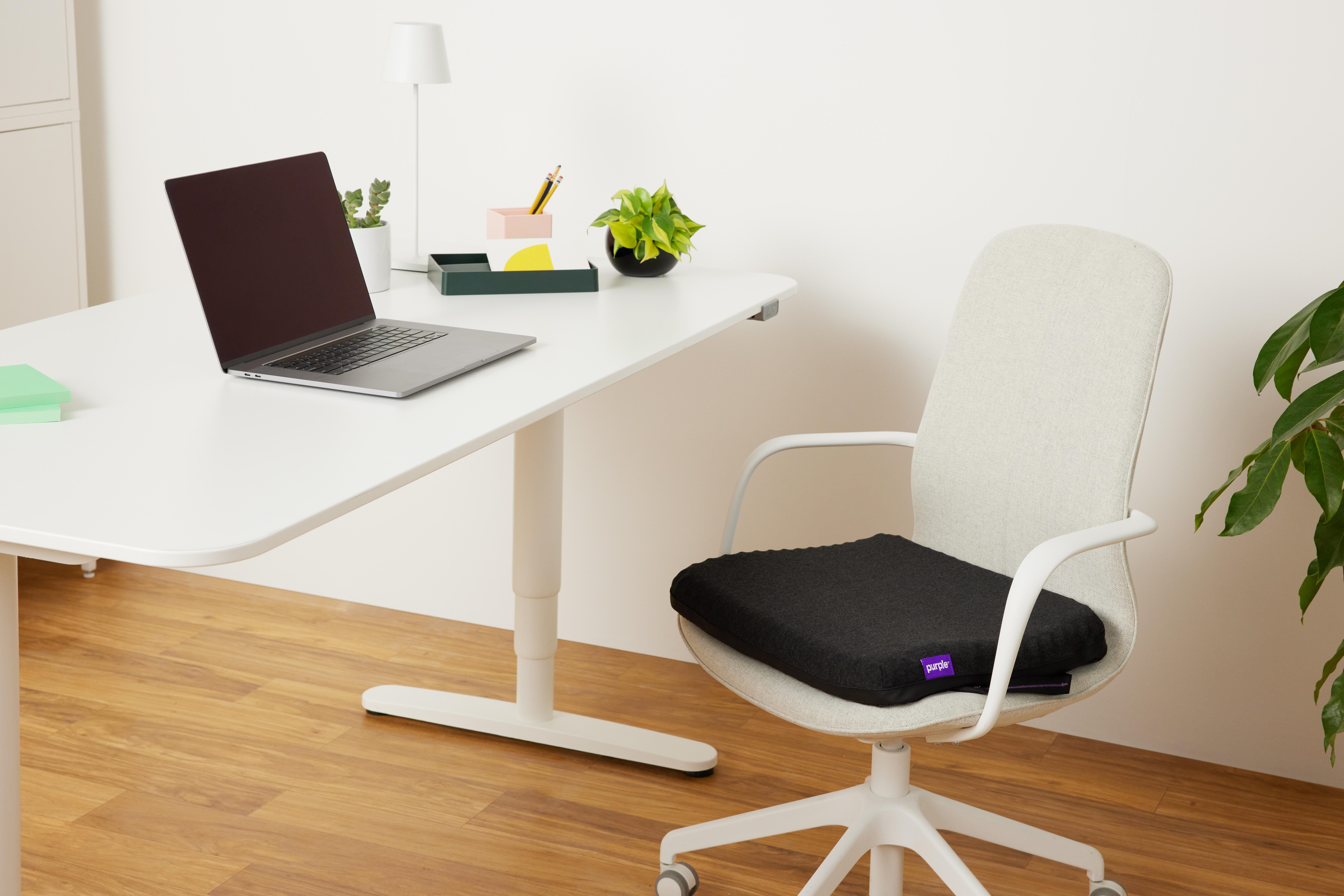Purple®  Double Seat Cushion, , large