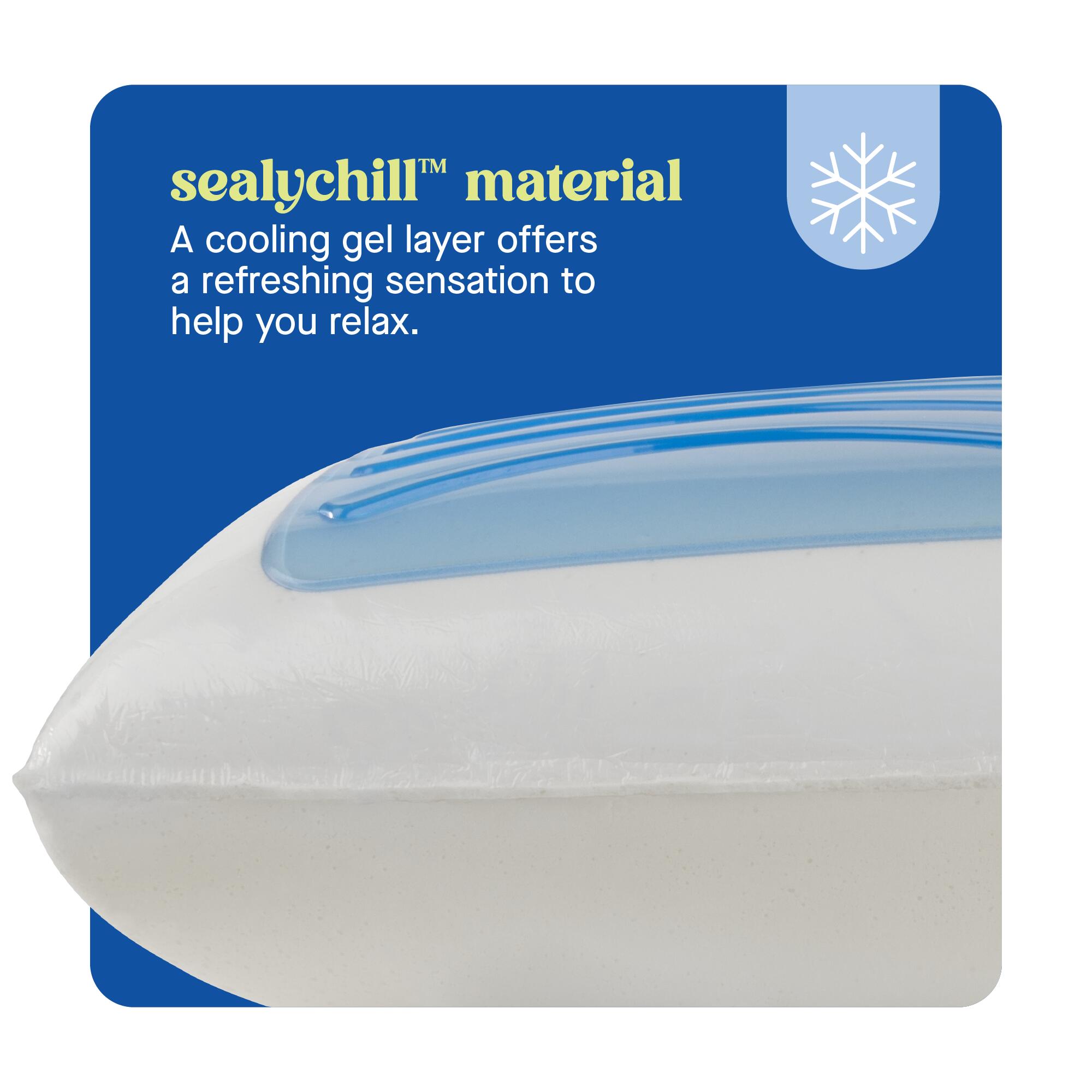 Sealy Dreamlife Standard Memory Foam Pillow, White, large