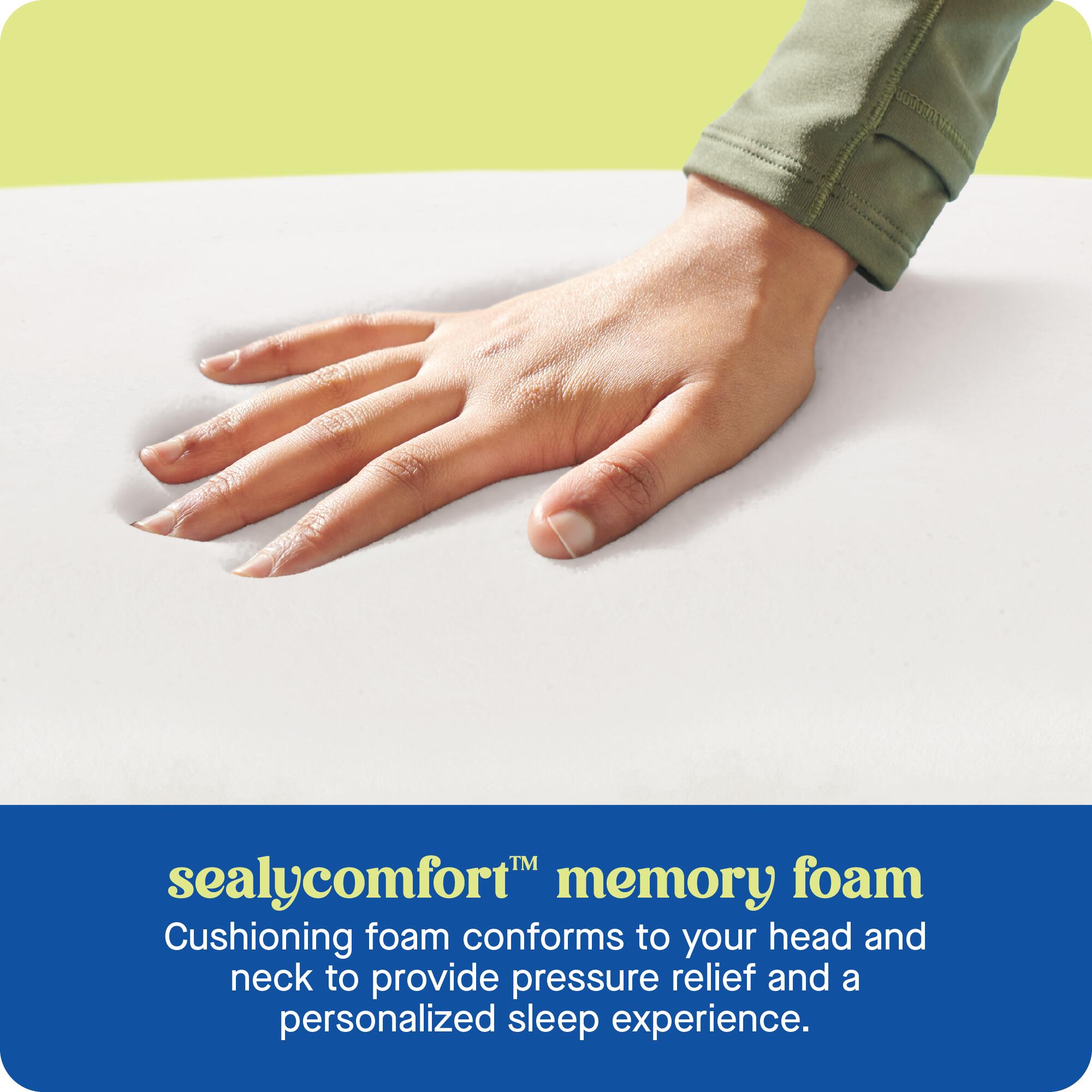 Sealy Dreamlife Ergonomic Standard Memory Foam Pillow, , large