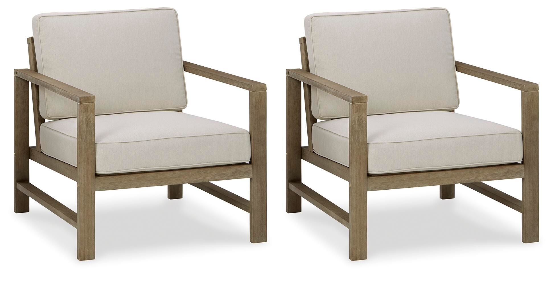 Fynnegan Lounge Chair with Cushion (Set of 2) - image 2