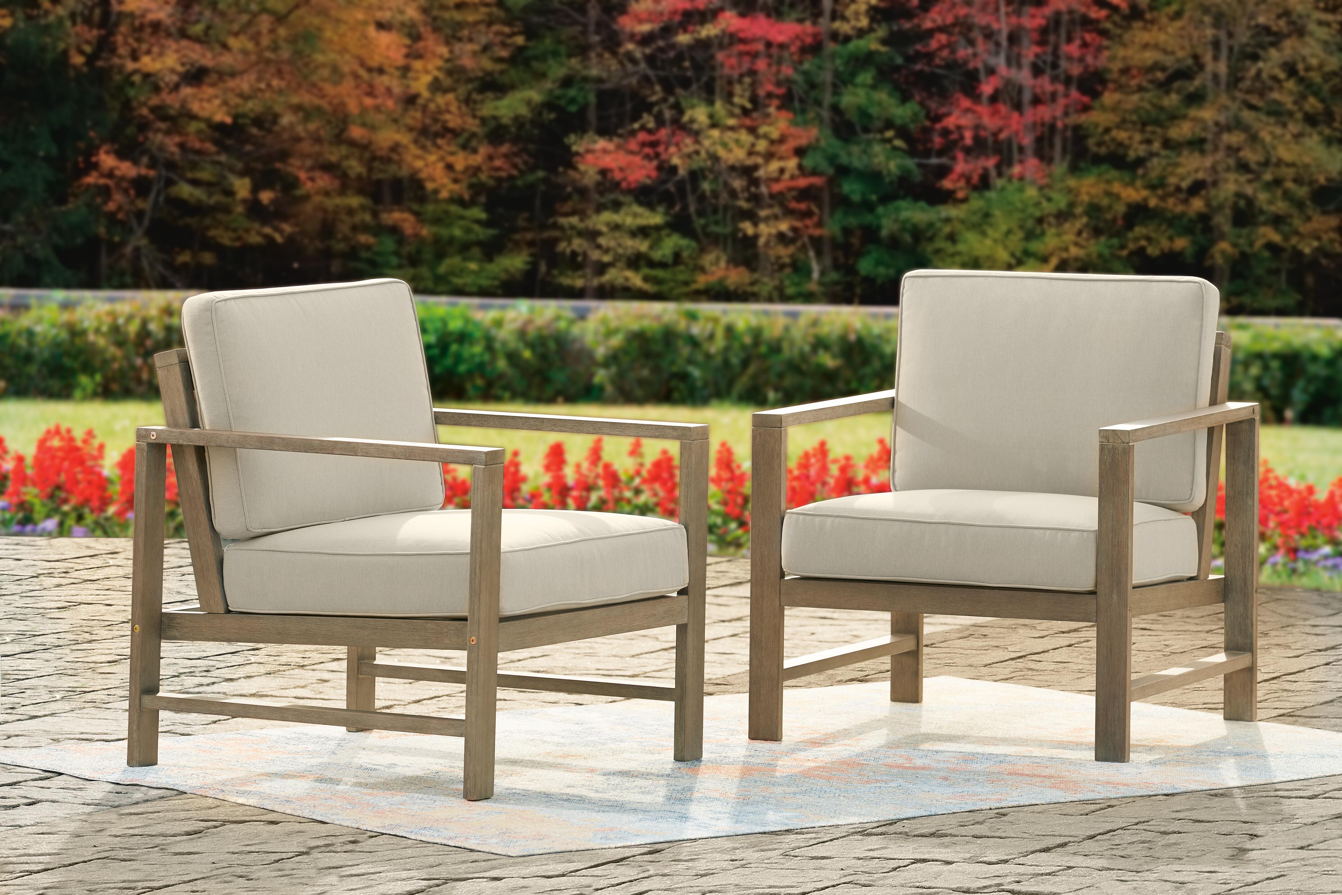 Fynnegan Lounge Chair with Cushion (Set of 2) - image 1