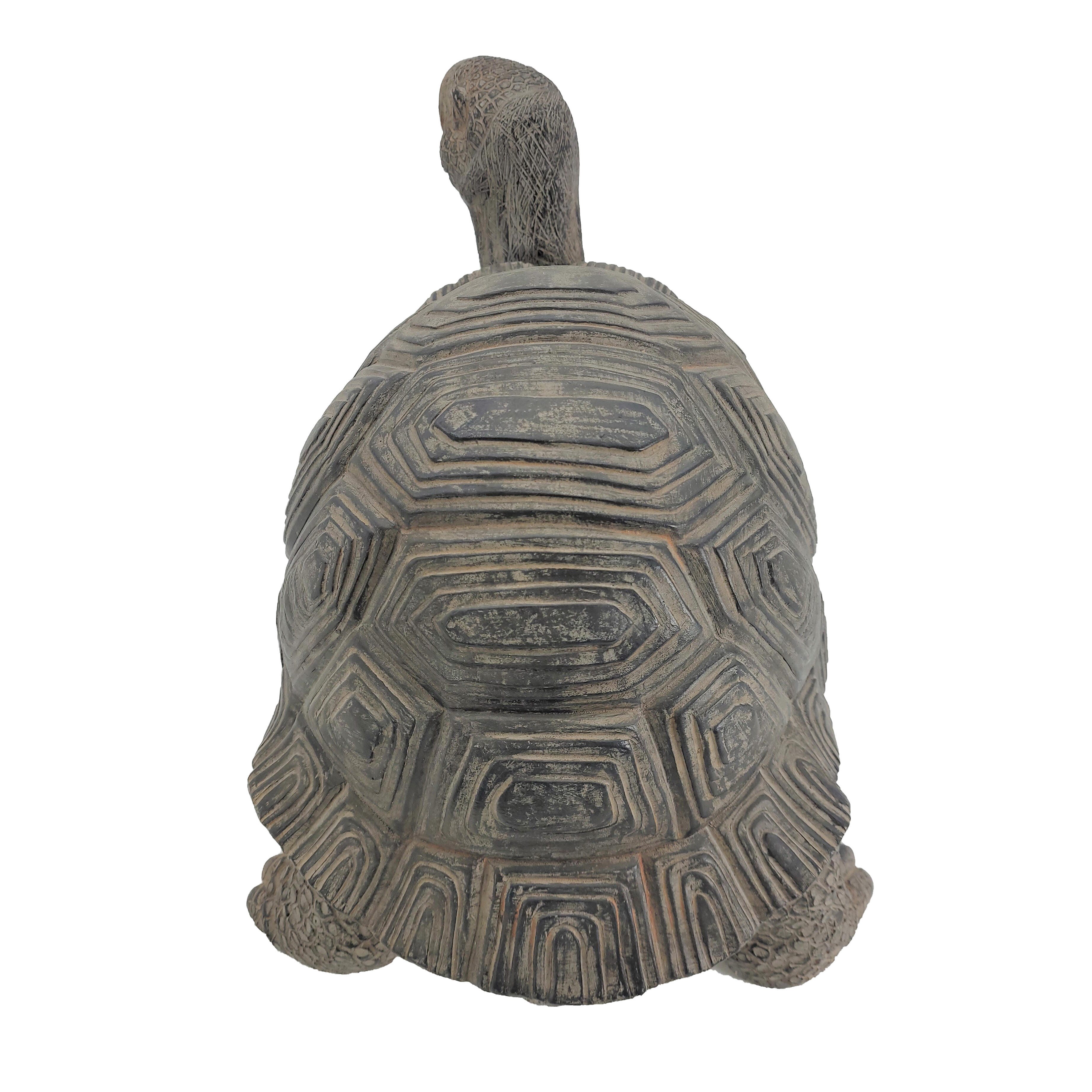 CALMA STORE 38灯 Skelton Tortoise SET CALMA STORE 38灯 Skelton Tortoise SET Real Turtle With Scutes