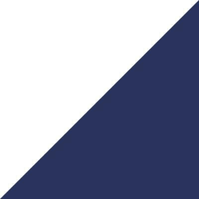Swatch color White/Navy 