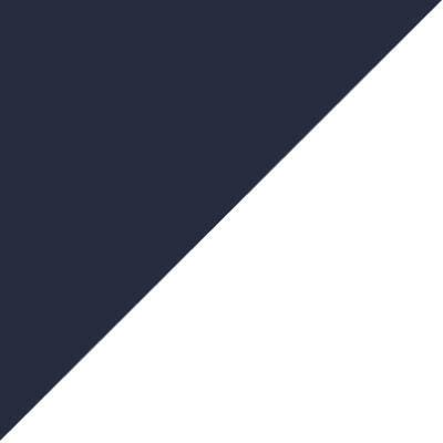 Swatch color Navy/White 