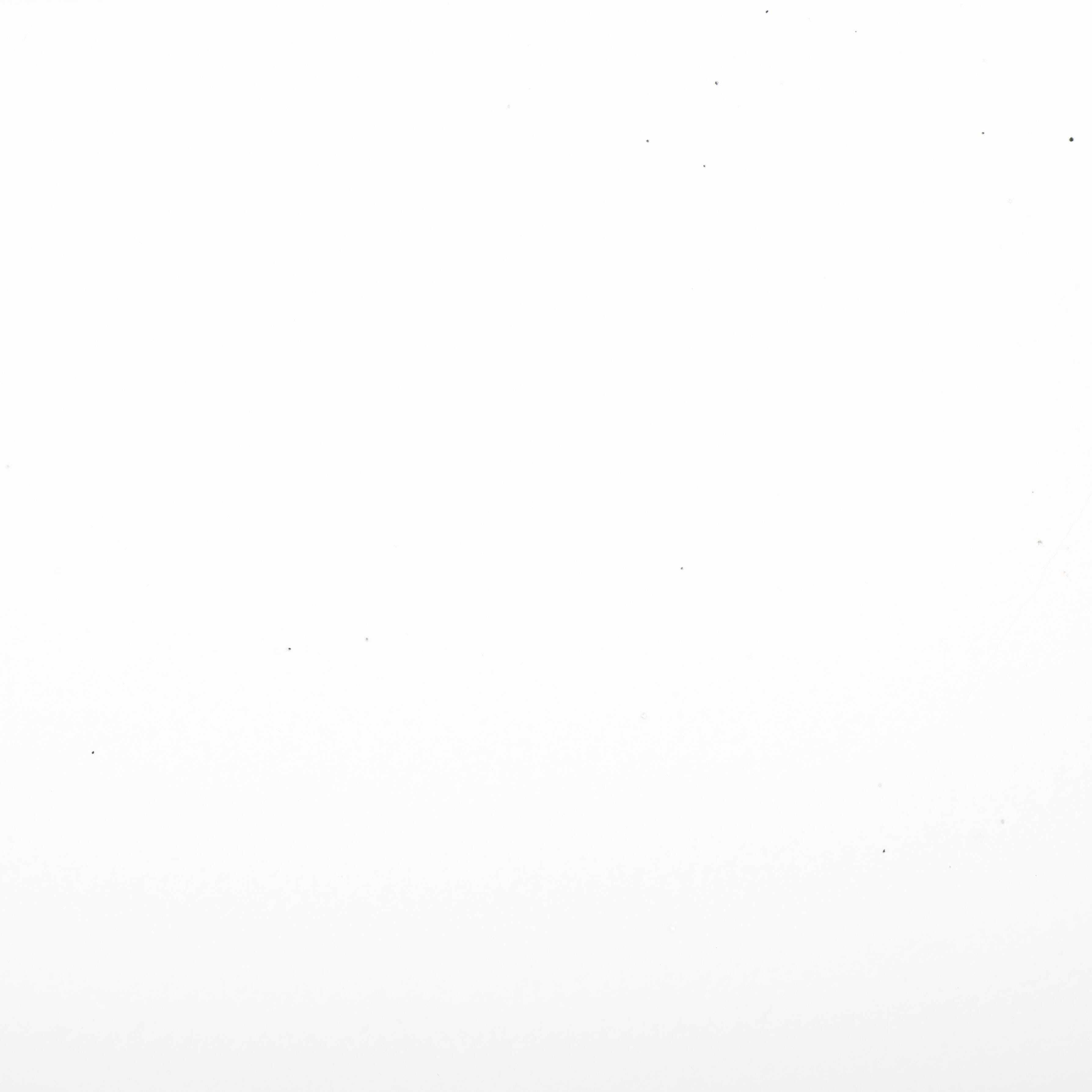 Swatch color White 
