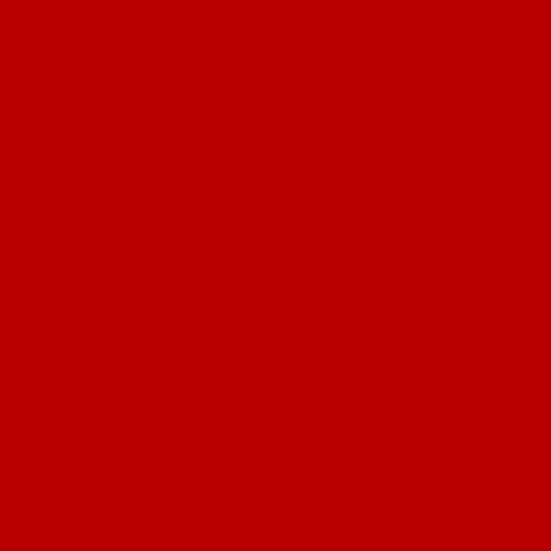 Swatch color Red/Black 